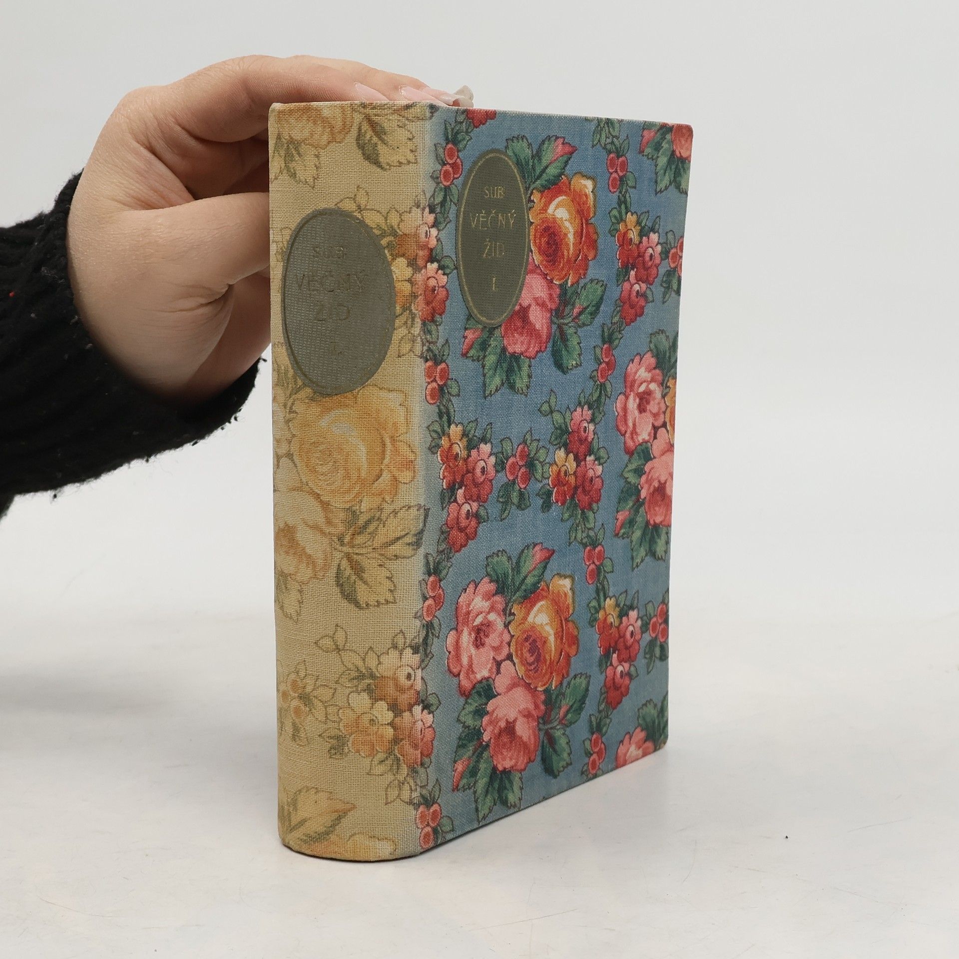 Eugène Sue Věčný Žid I.