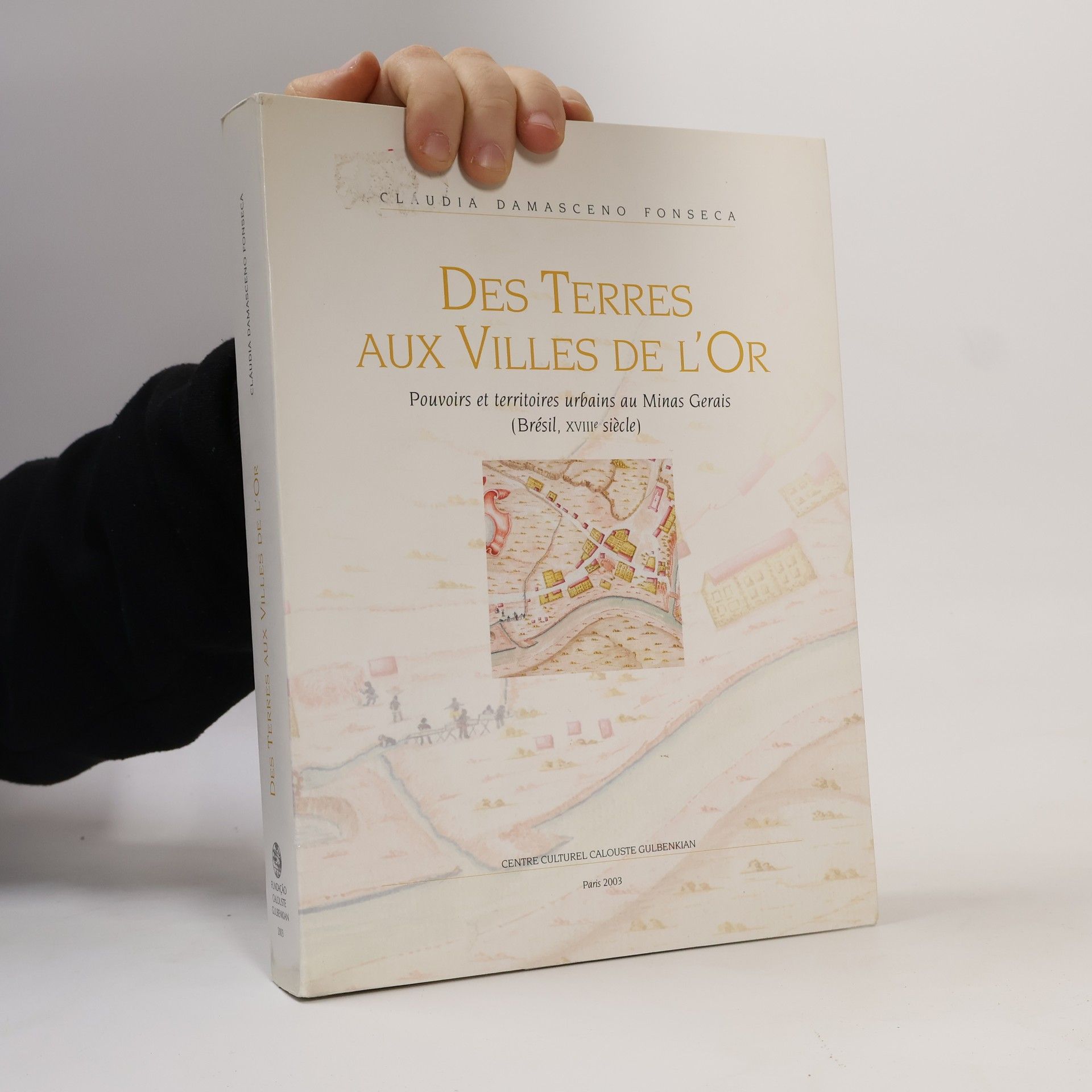 Cláudia Damasceno Fonseca Des terres aux villes de l'or