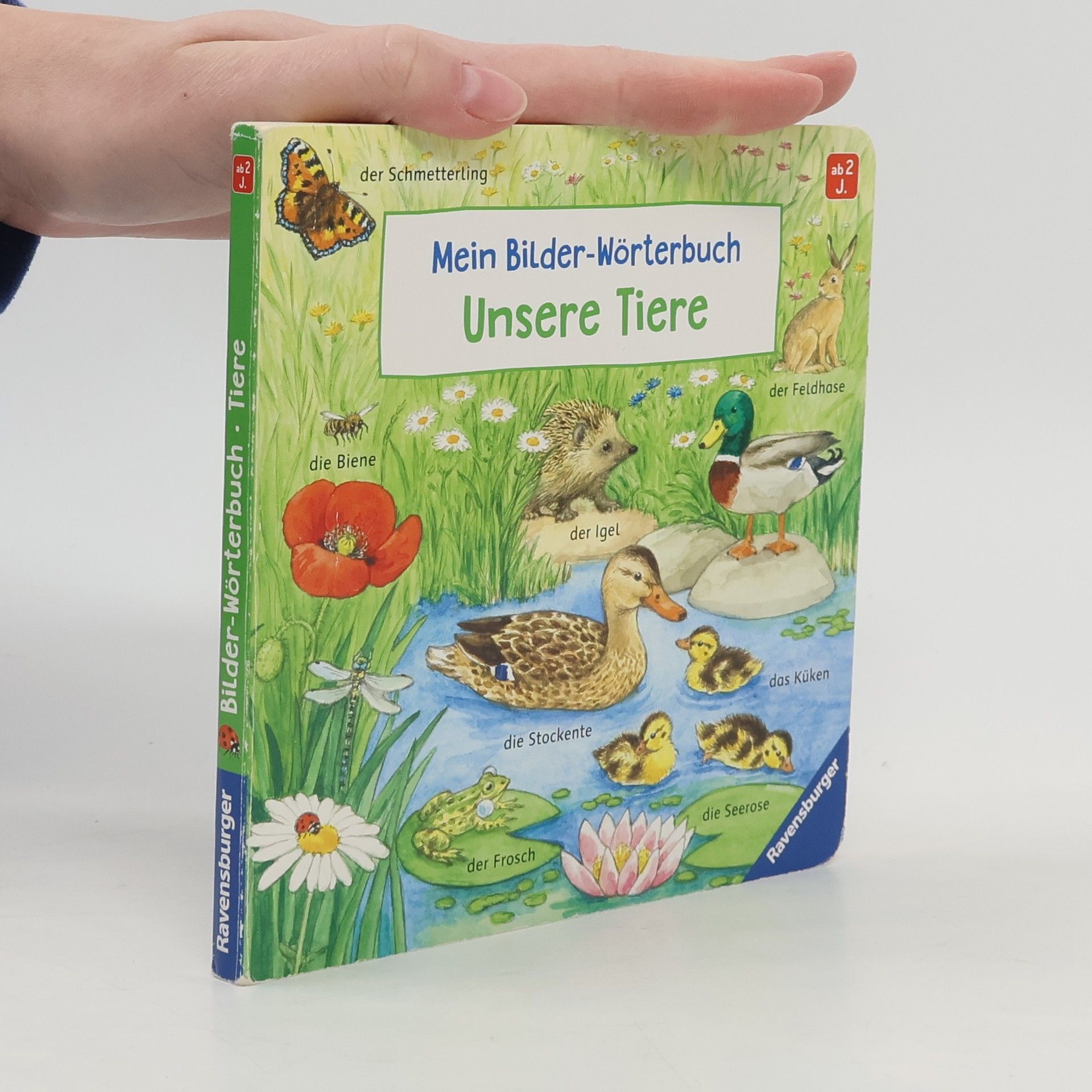 Susanne Gernhäuser Mein Bilder-Wörterbuch: Unsere Tiere