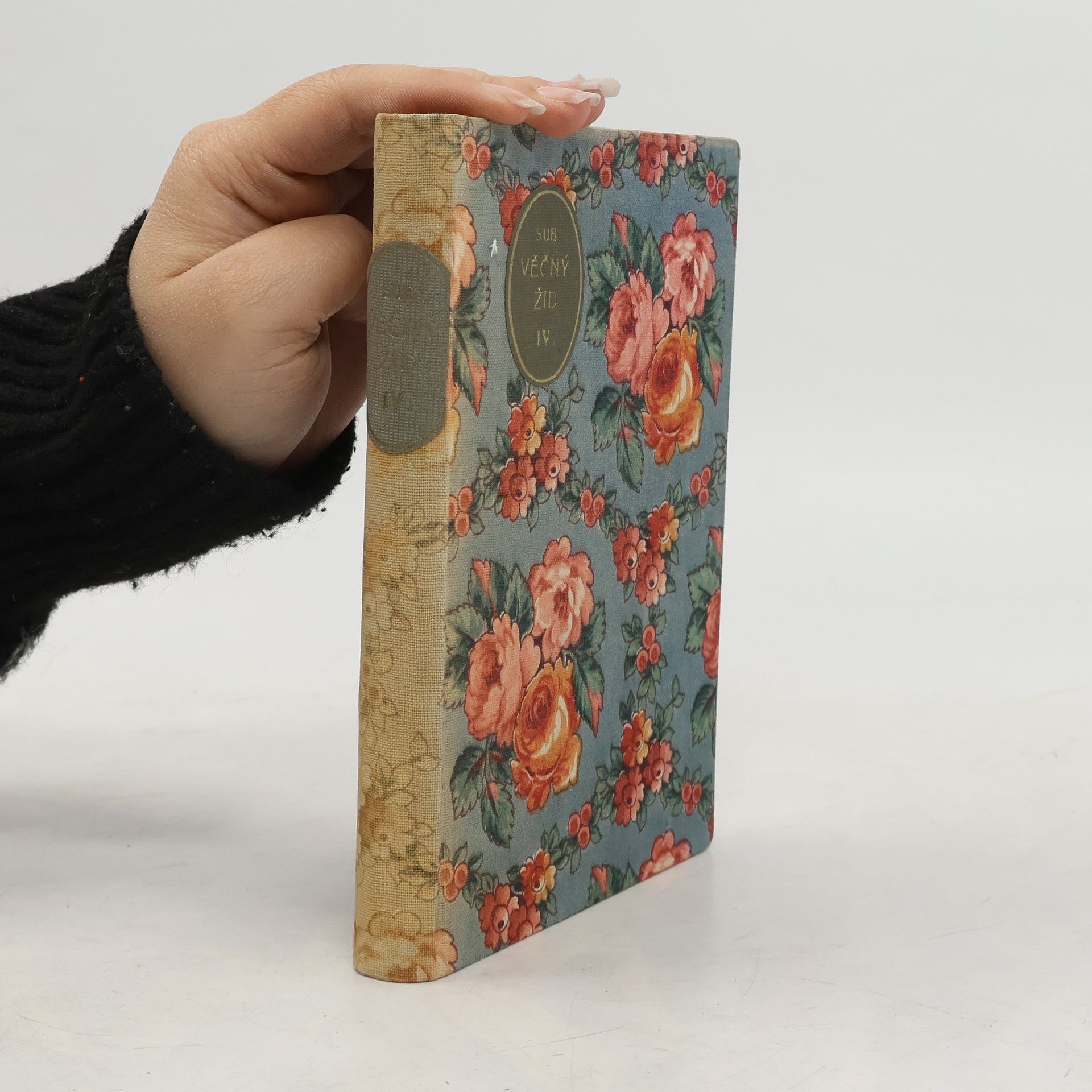 Eugène Sue Věčný žid IV. díl