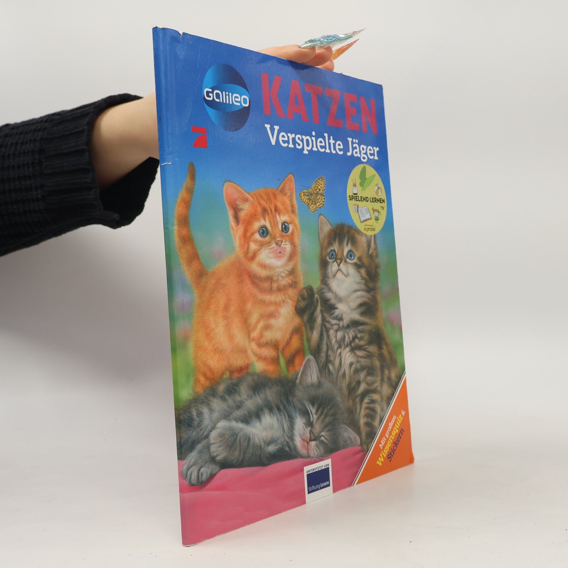 Collectif d'auteurs Katzen verspielte Jäger