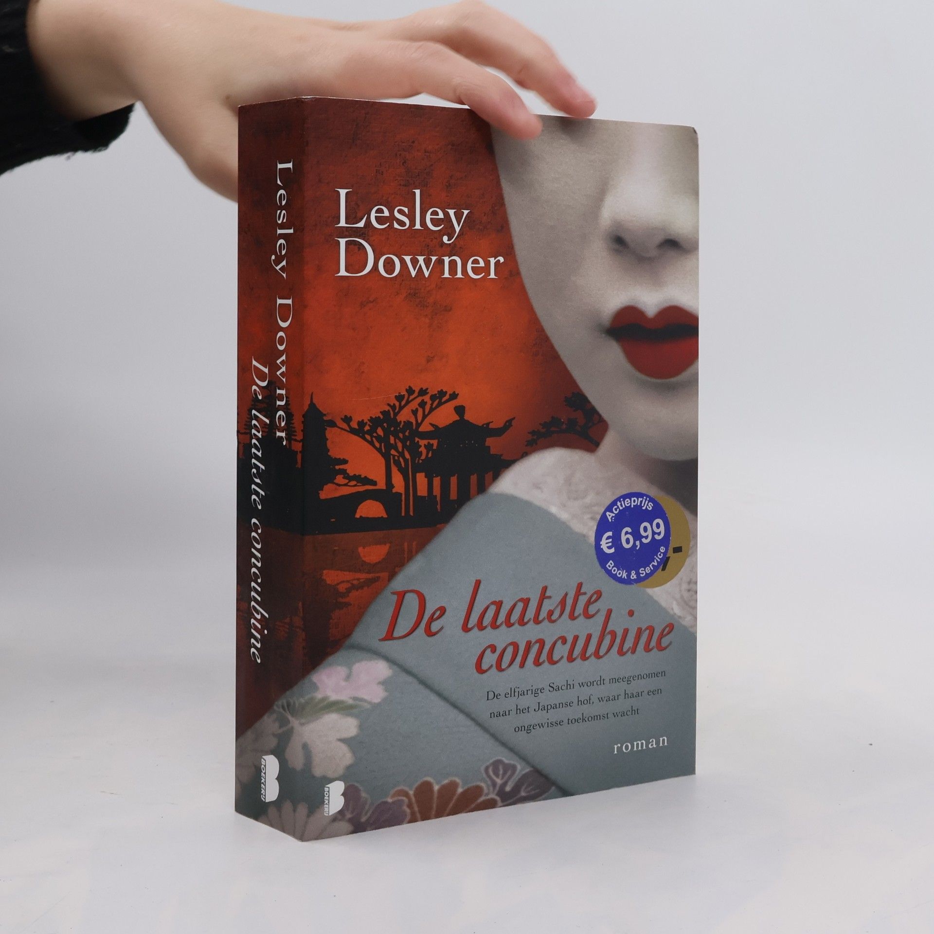 Lesley Downer De laatste concubine