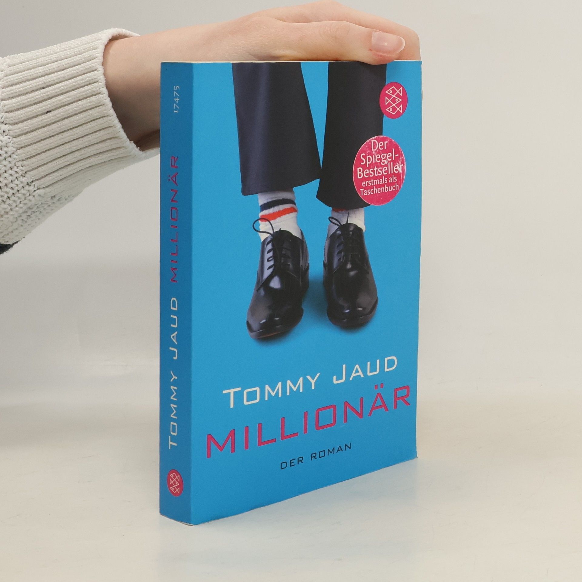 Tommy Jaud Millionär