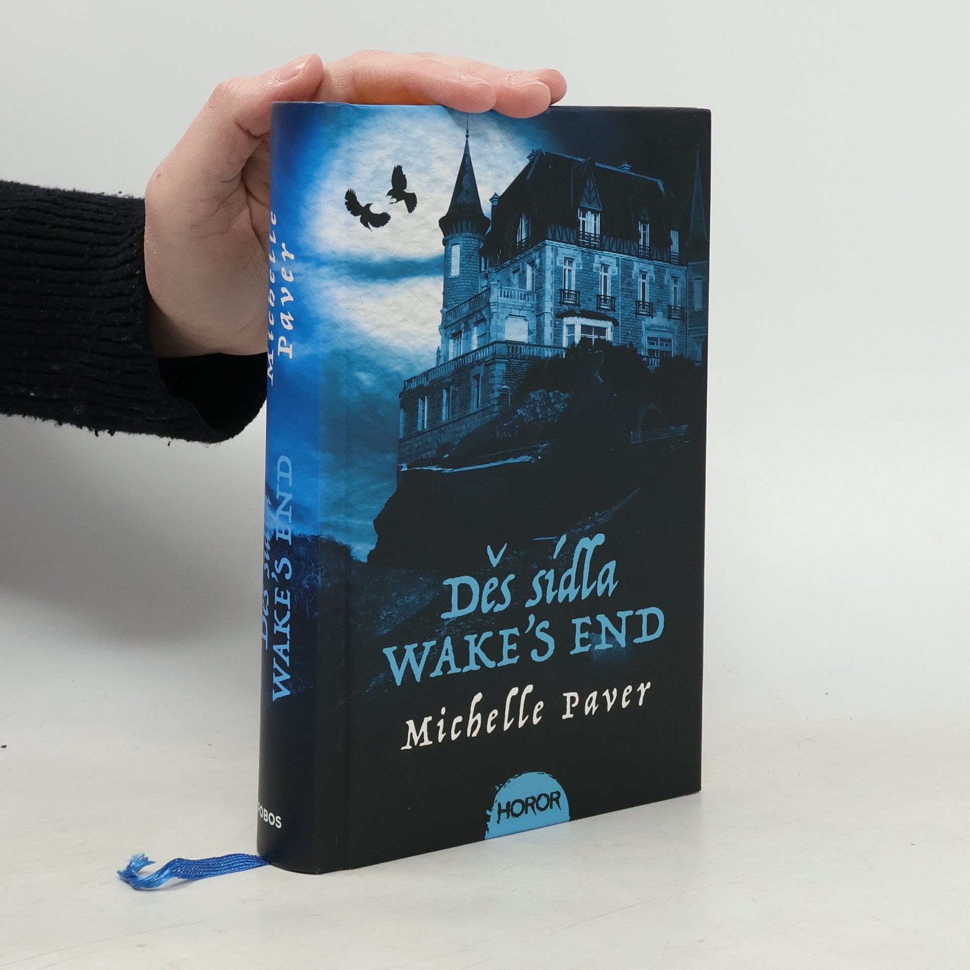 Michelle Paverová Děs sídla Wake's End