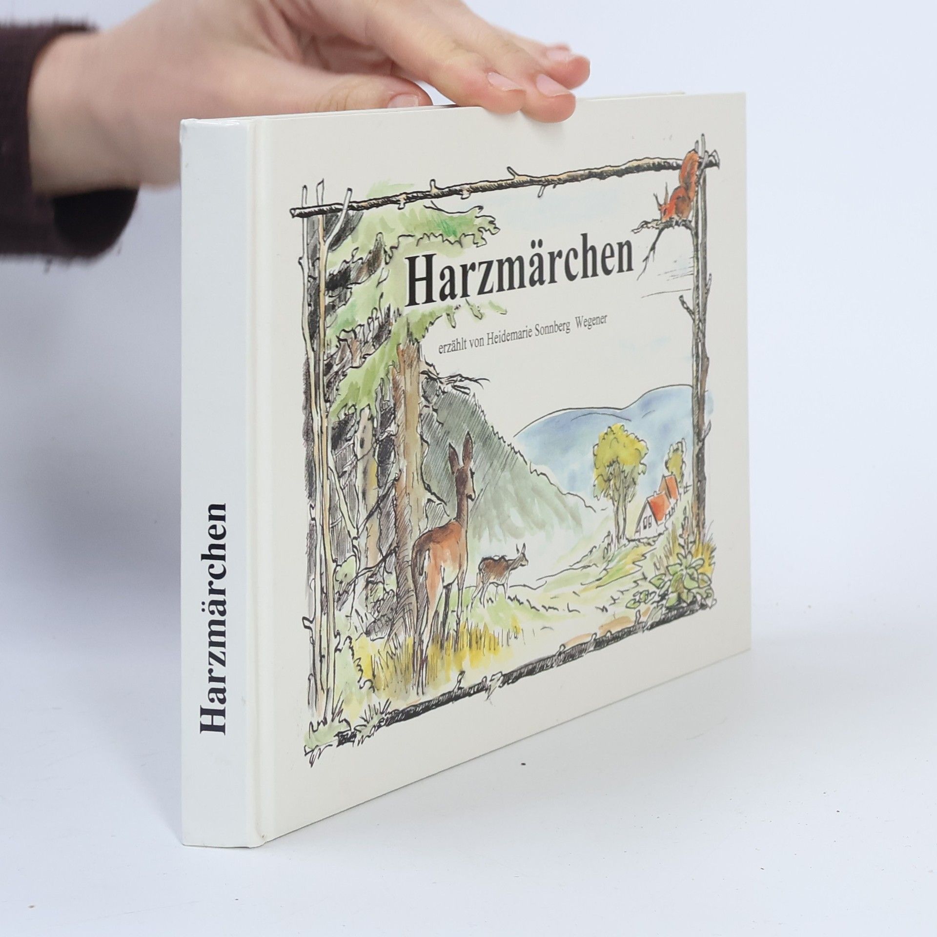 Autorenkollektiv Harzmärchen