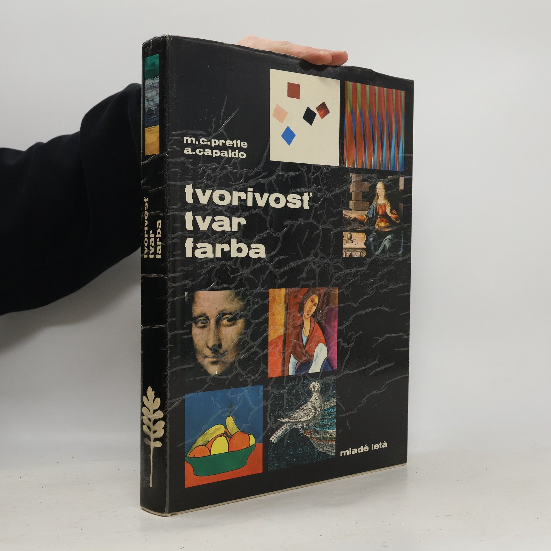 Maria Carla Prette Tvorivosť, tvar, farba