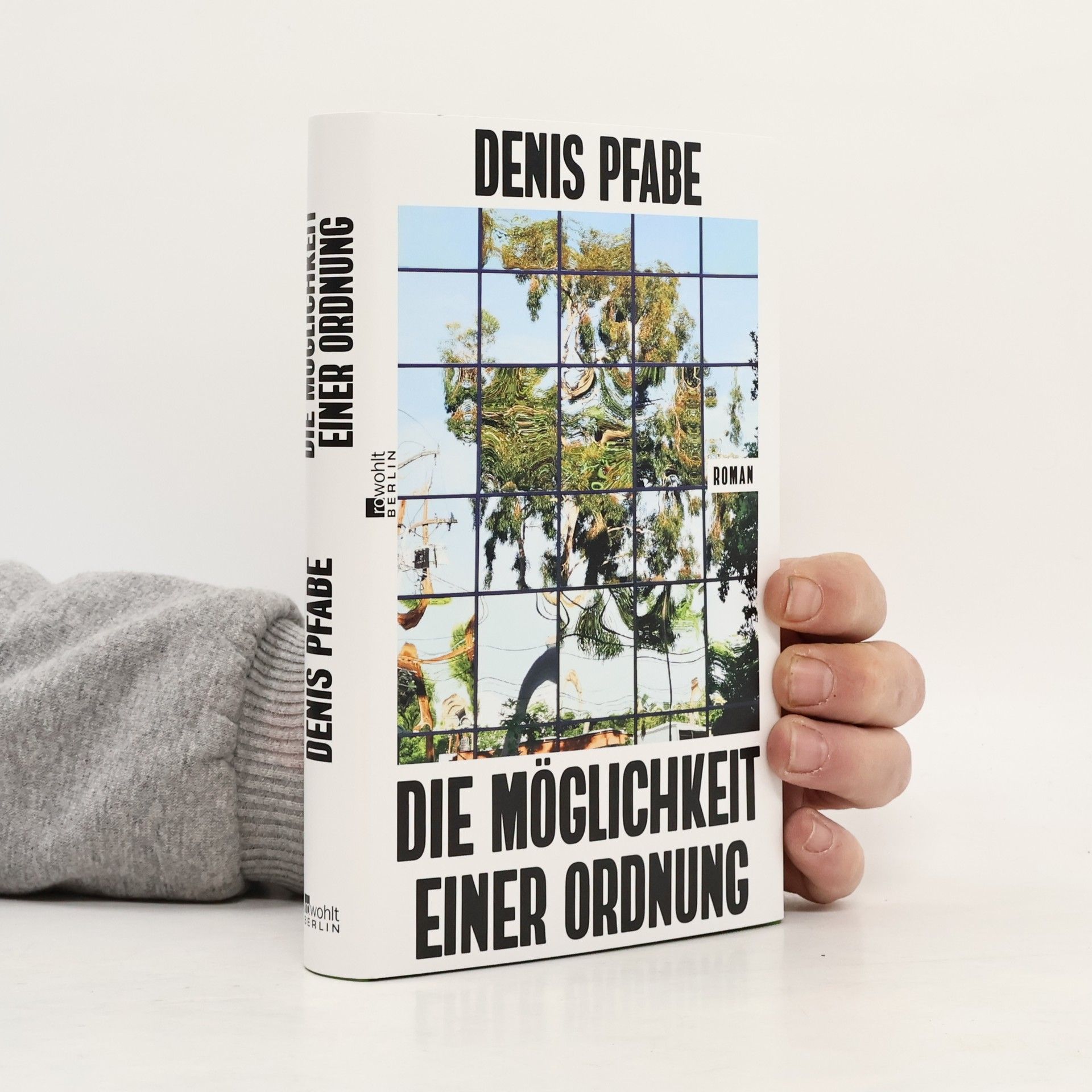 Denis Pfabe Die Möglichkeit einer Ordnung