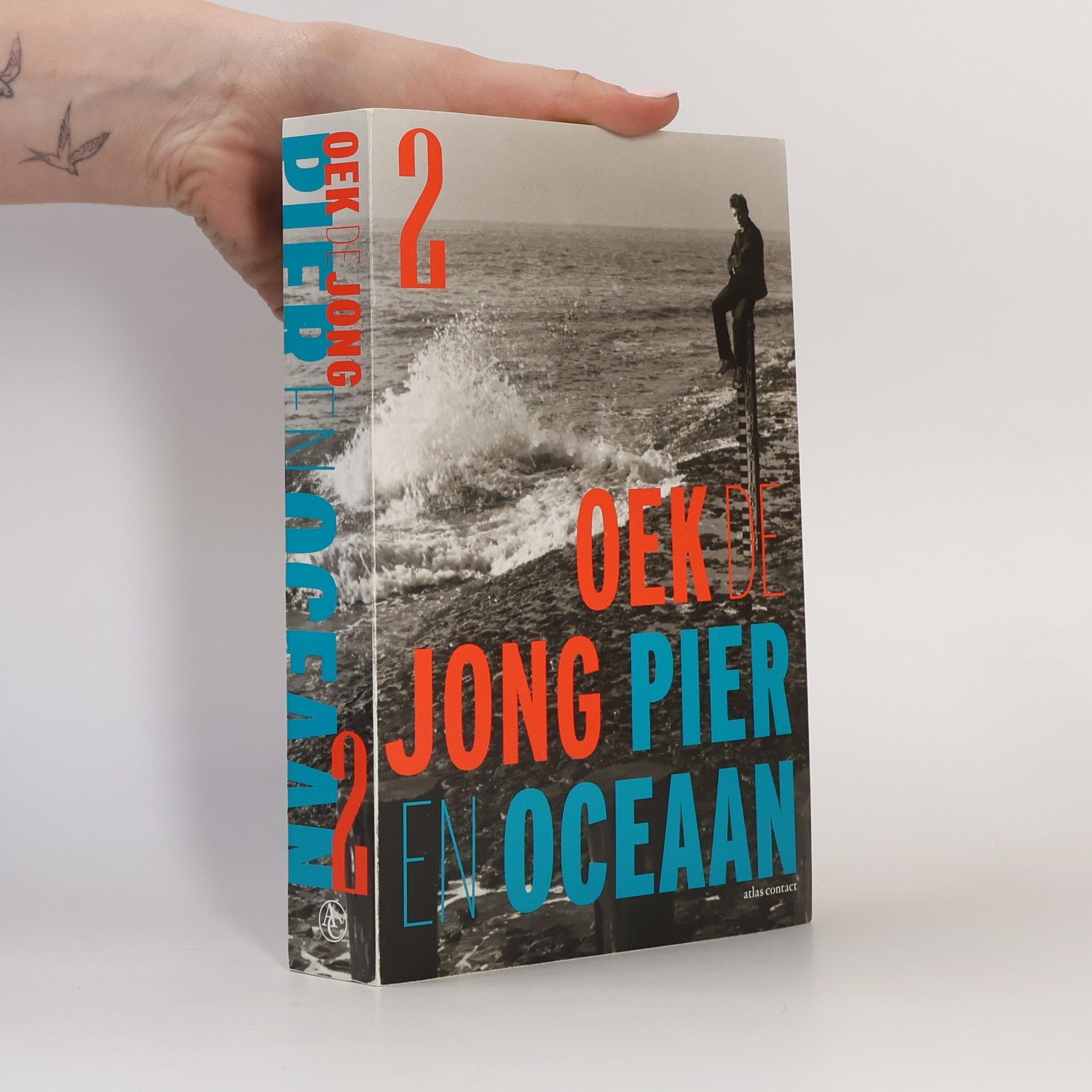Oek de Jong Pier en oceaan