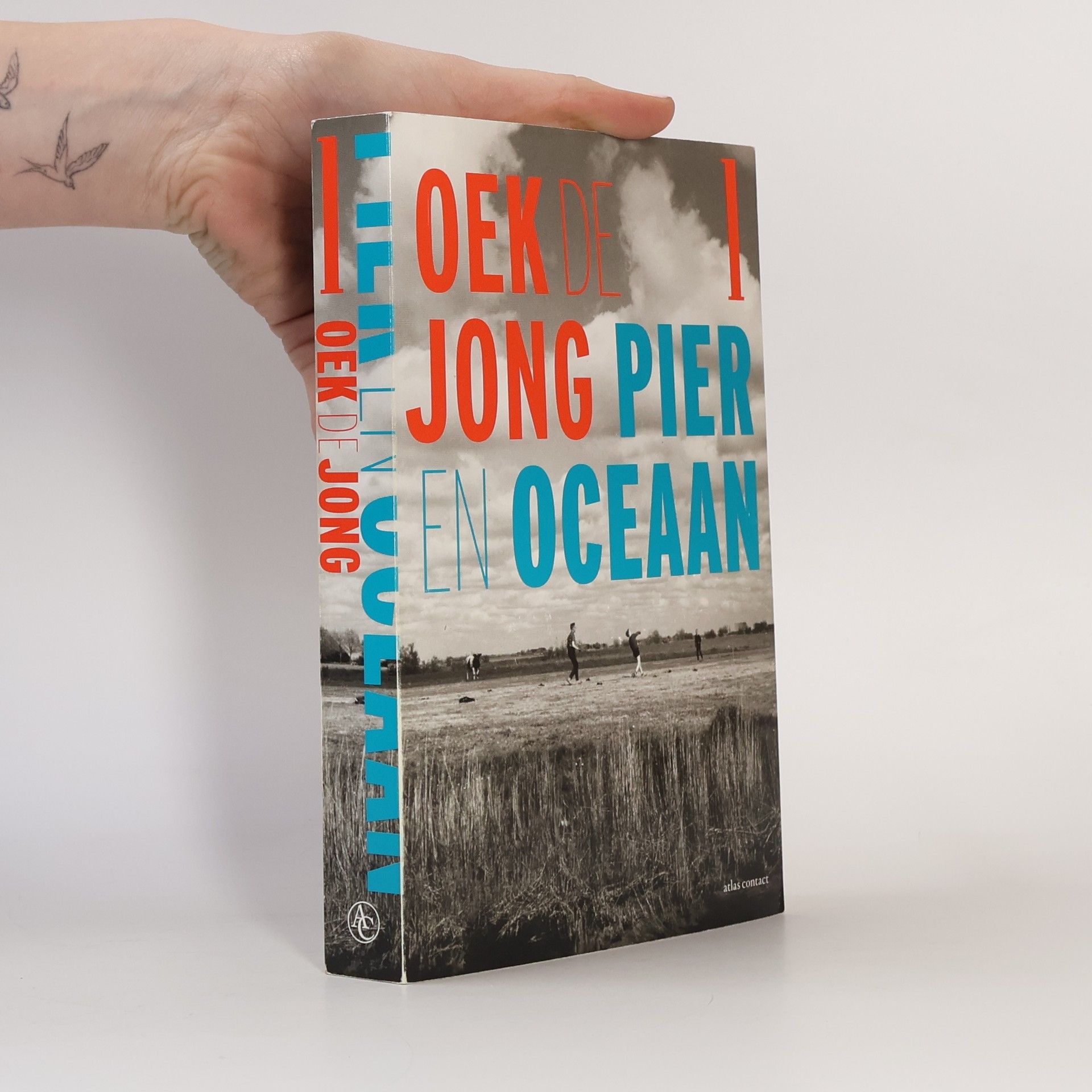 Oek de Jong Pier en oceaan