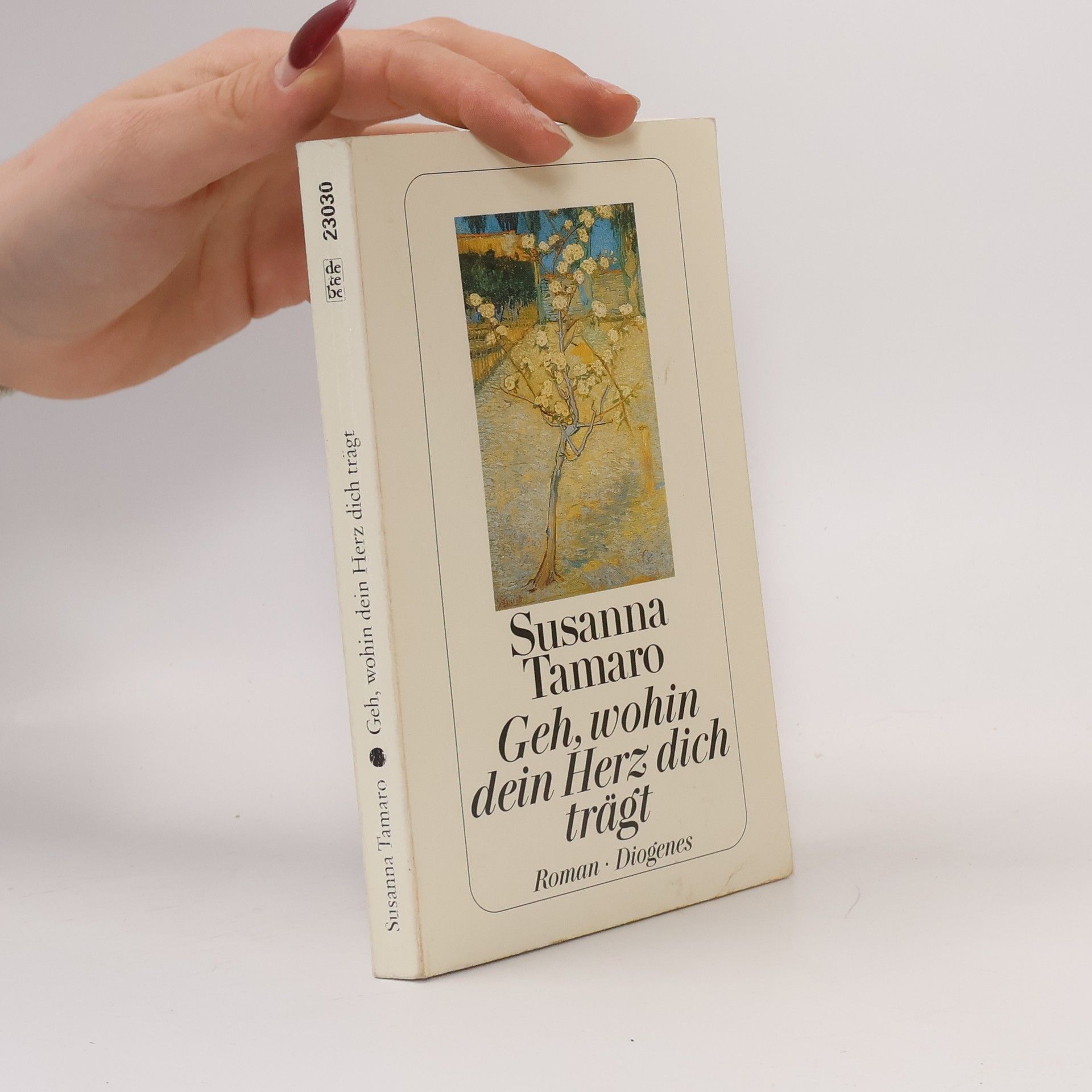 Susanna Tamaro Geh, wohin dein Herz dich trägt