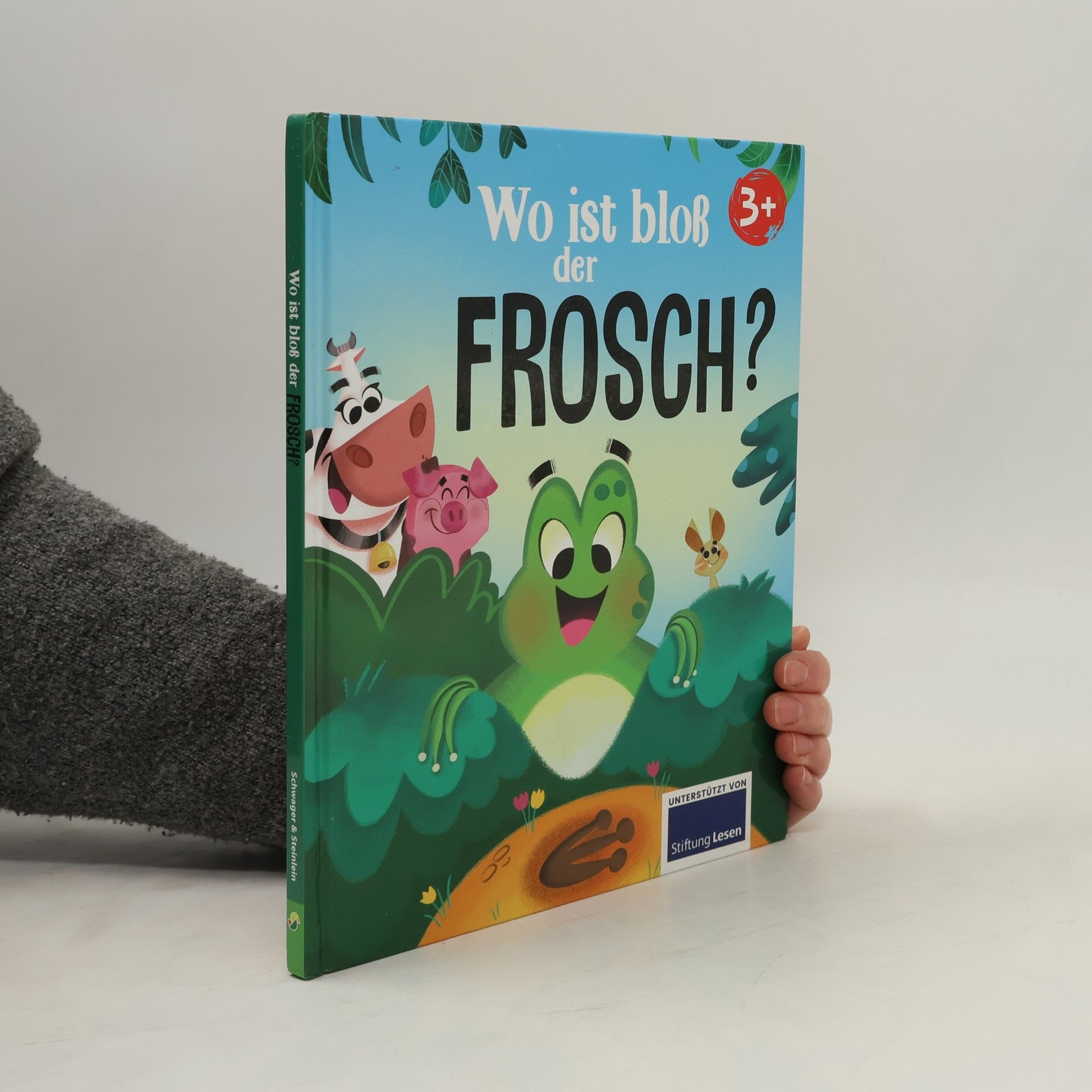 Valentina Schöttes Wo ist bloß der Frosch?
