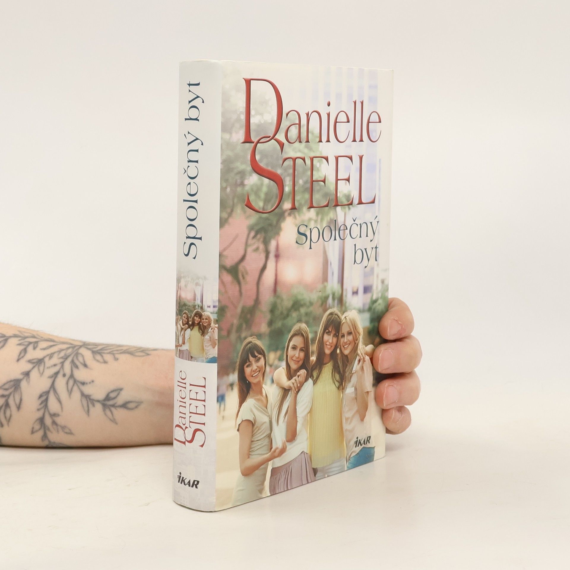 Danielle Steel Společný byt