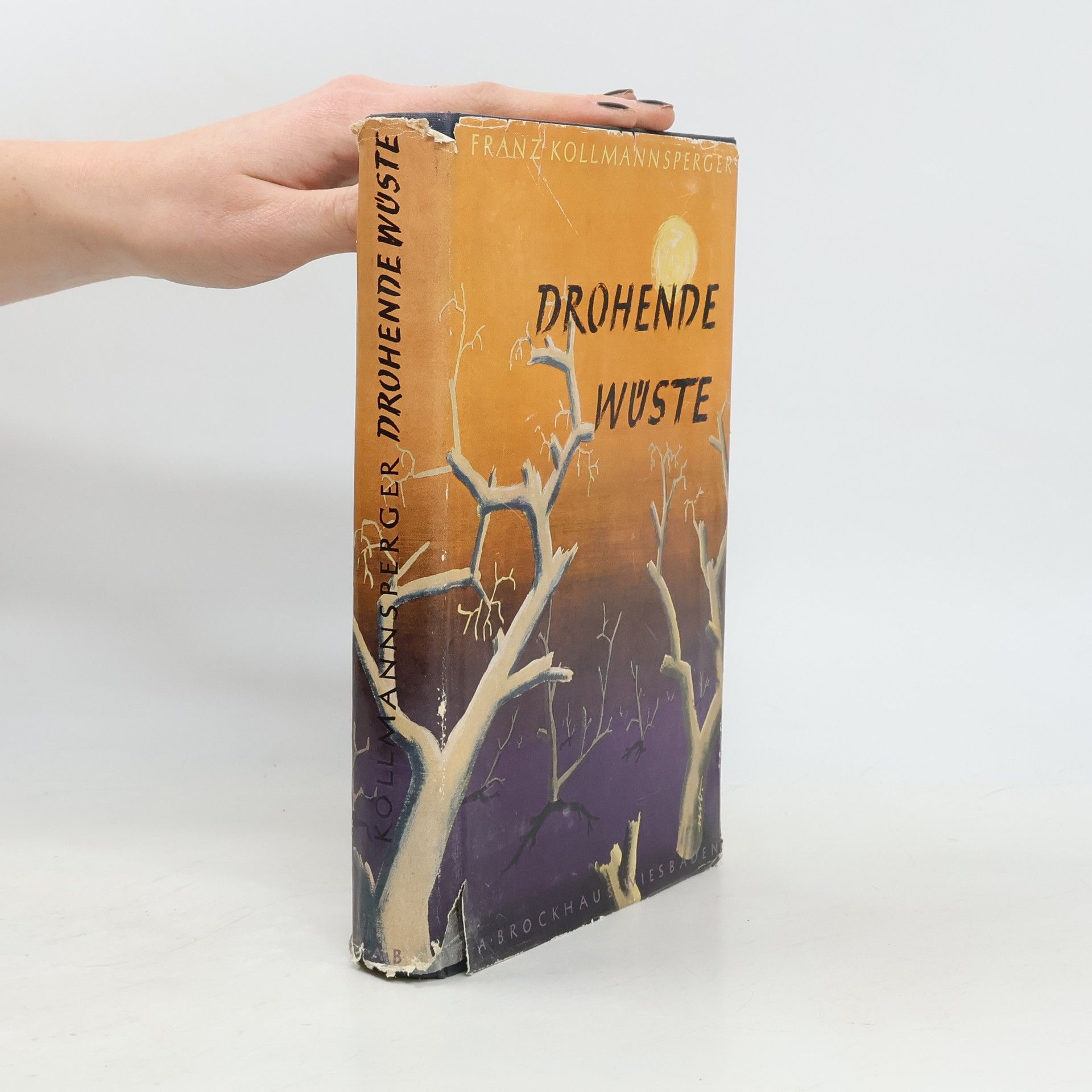 Franz Kollmannsperger Drohende Wüste