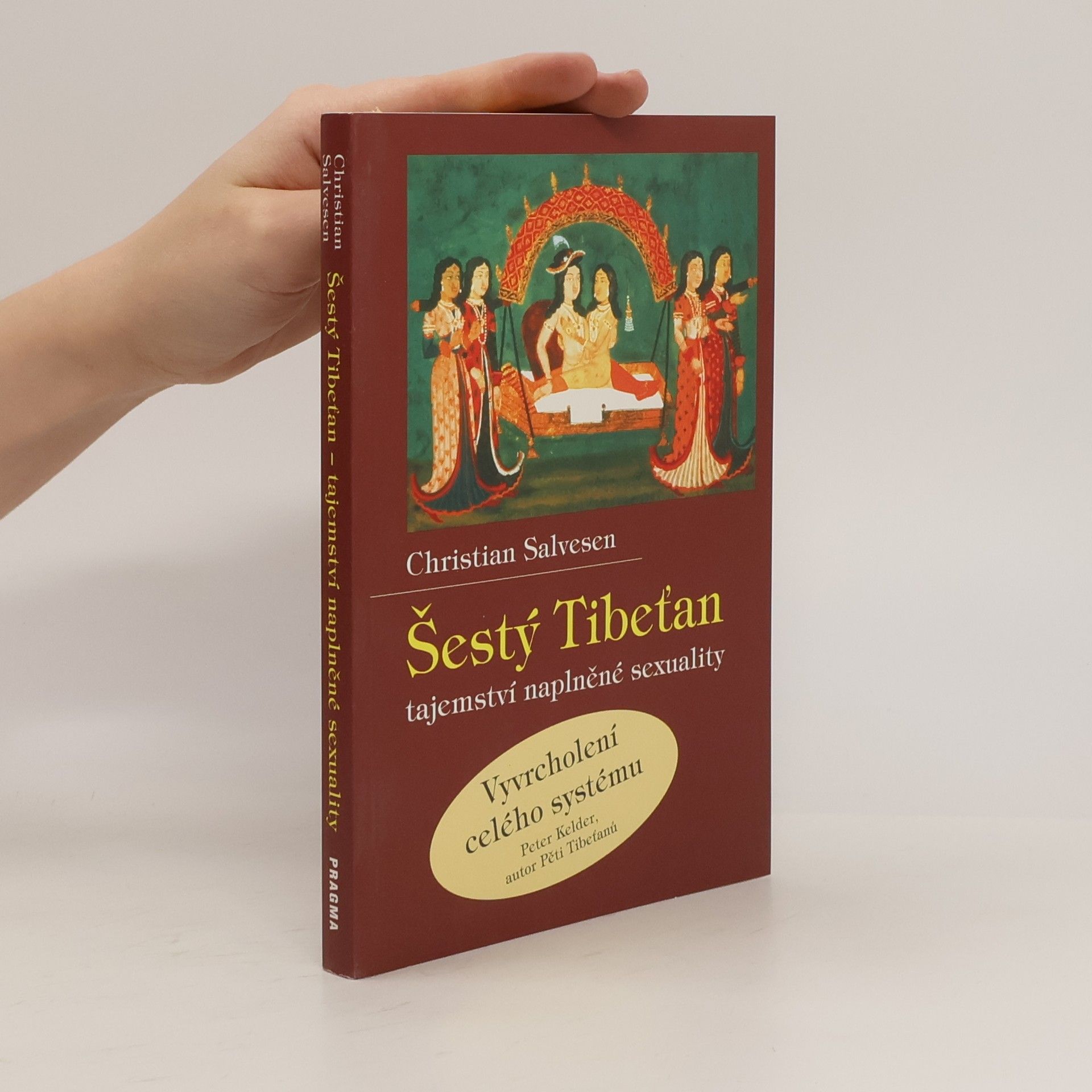 Christian Salvesen Šestý Tibeťan. Tajemství naplněné sexuality