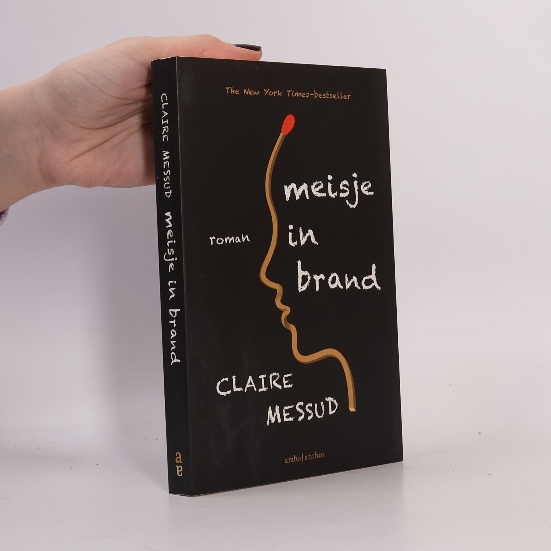 Claire Messud Meisje in brand
