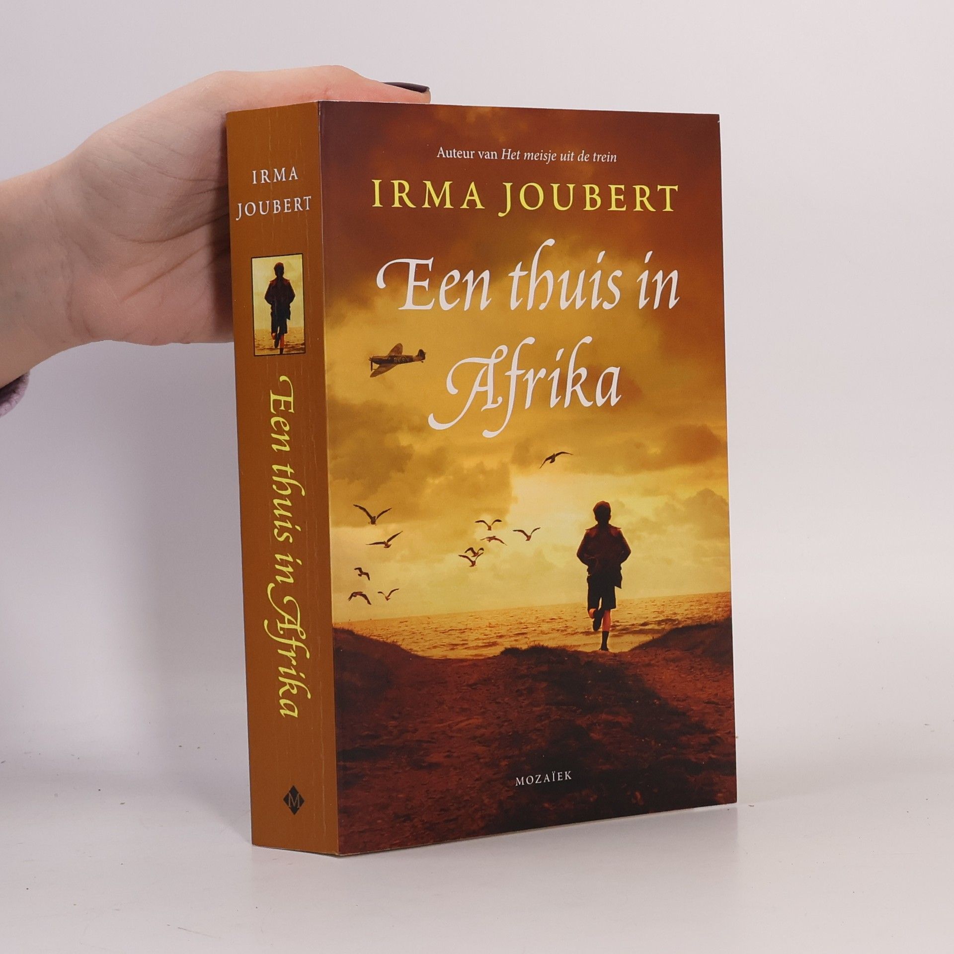 Onderweg naar Afrika-trilogie - 3: Een thuis in Afrika