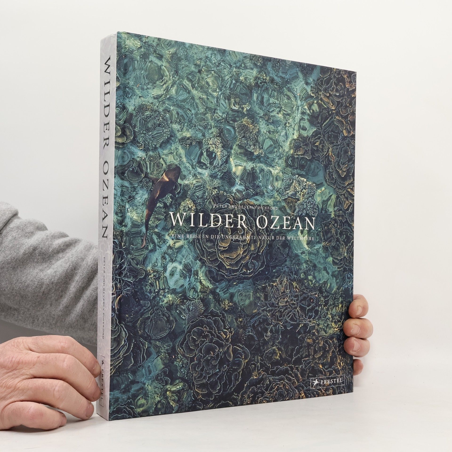 Peter & Beverly Pickford Wilder Ozean: Eine Reise in die ungezähmte Natur der Weltmeere. Opulenter Coffee-Table-Band mit über 200 faszinierenden Fotografien