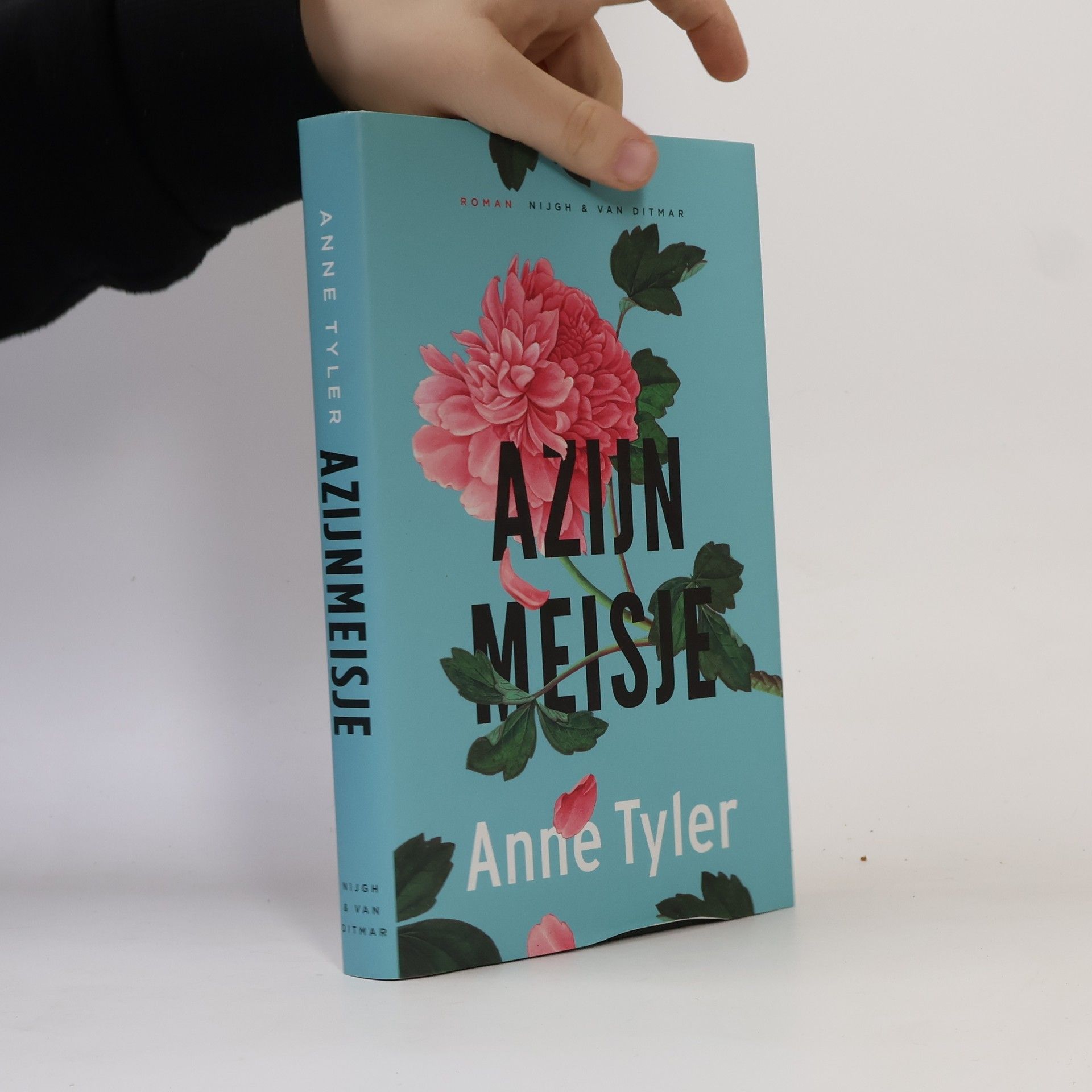 Anne Tyler Azijnmeisje