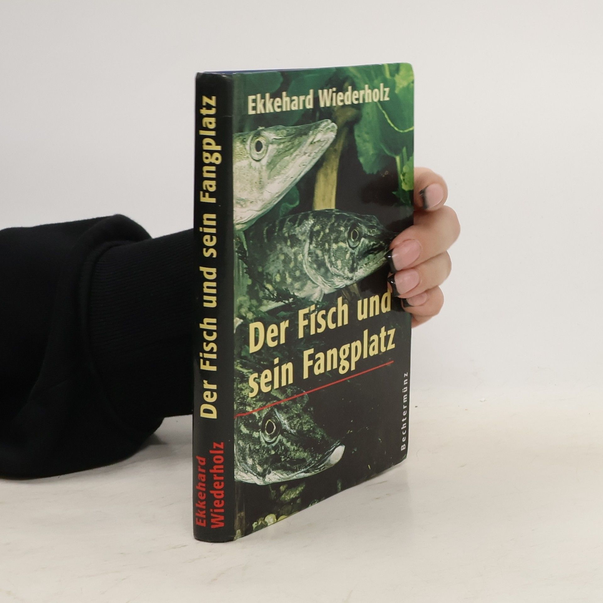Ekkehard Wiederholz Der Fisch und sein Fangplatz