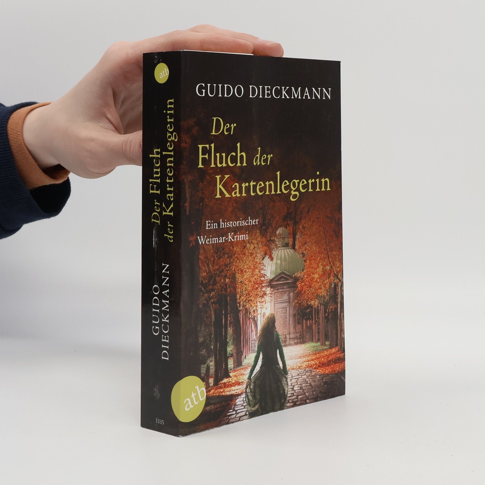 Guido Dieckmann Der Fluch der Kartenlegerin