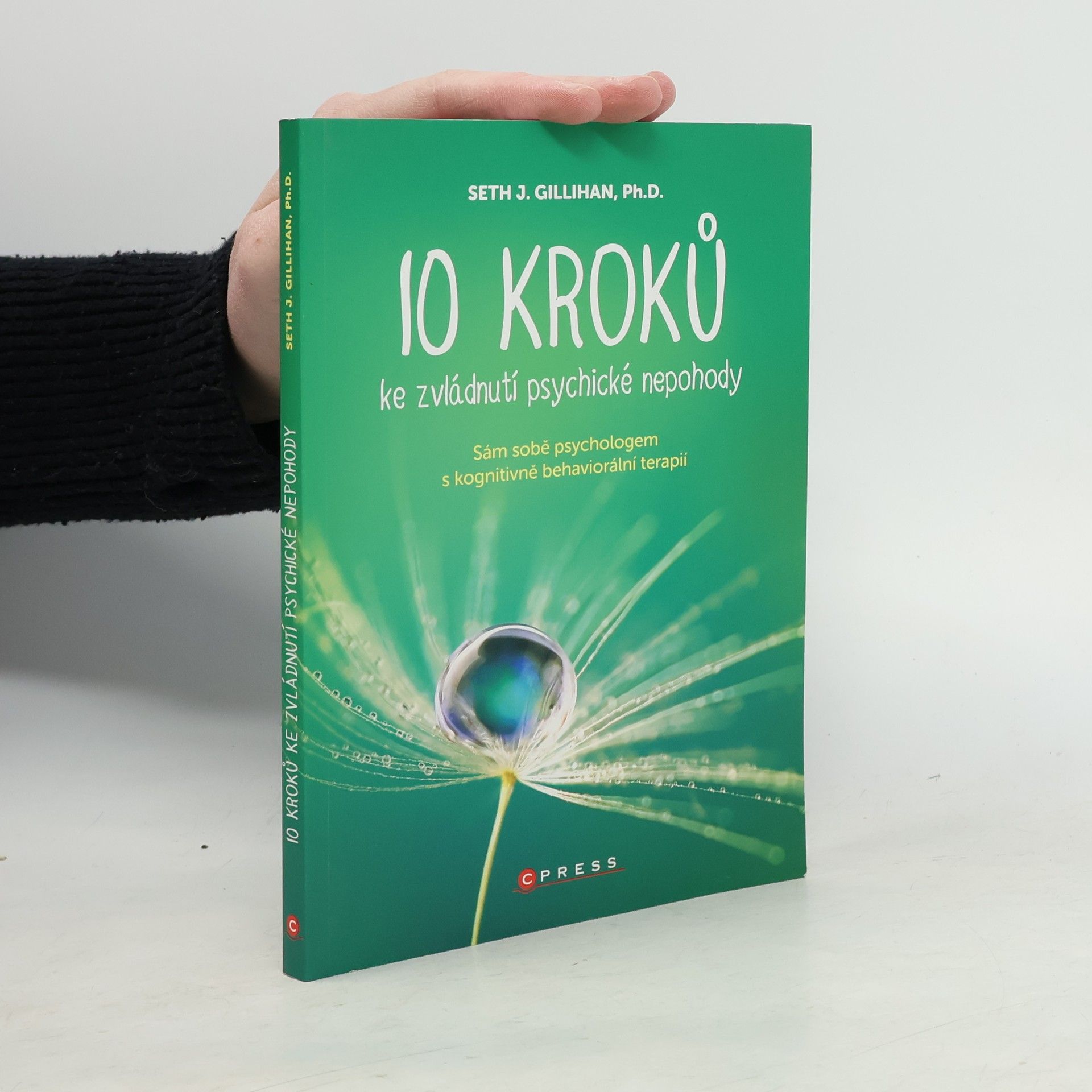 Seth Gillihan 10 kroků ke zvládnutí psychické nepohody: Sám sobě psychologem s kognitivně behaviorální terapií