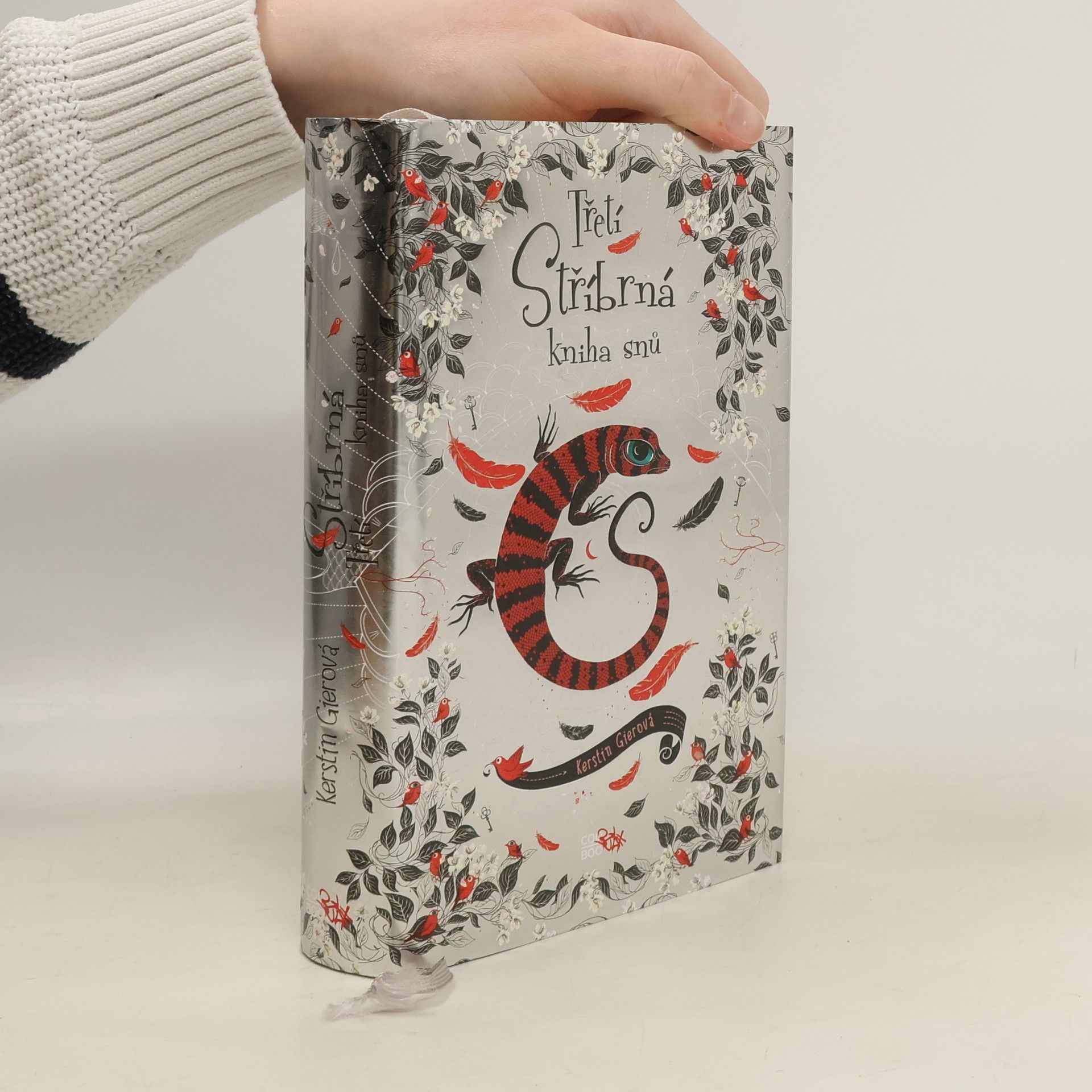 Kerstin Gier Třetí stříbrná kniha snů