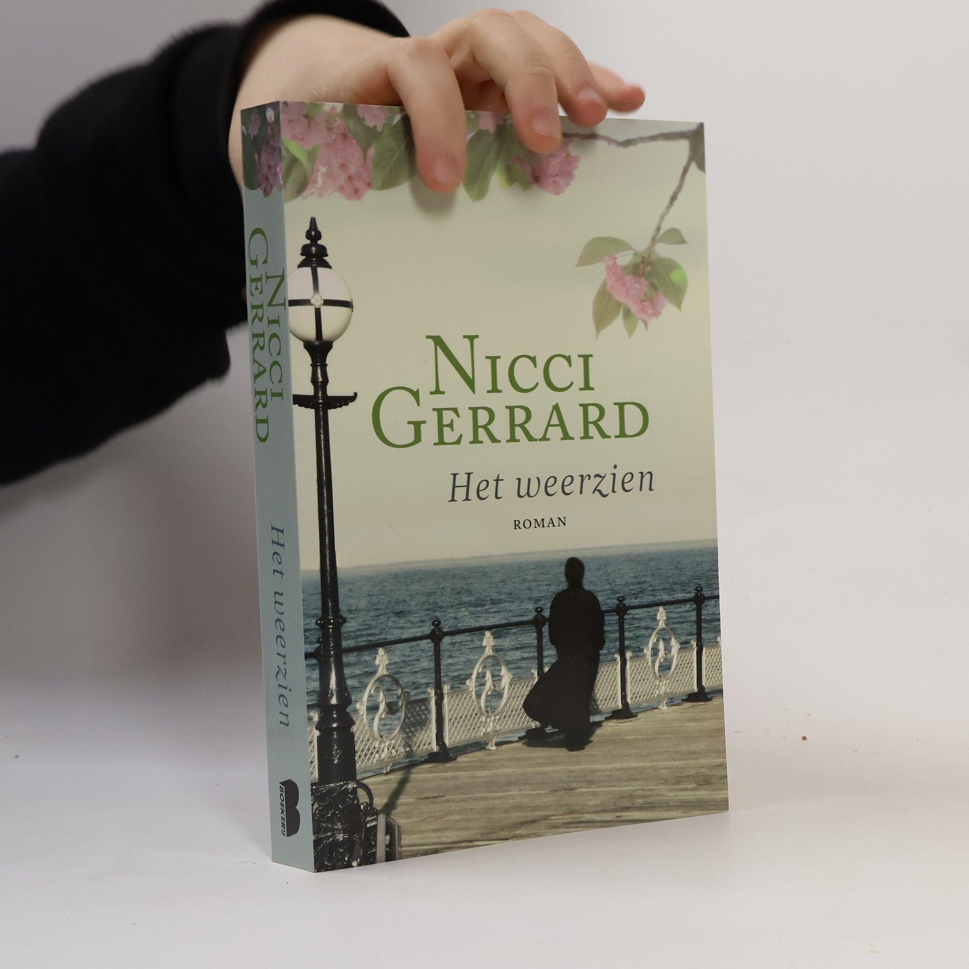 Nicci Gerrard Het weerzien