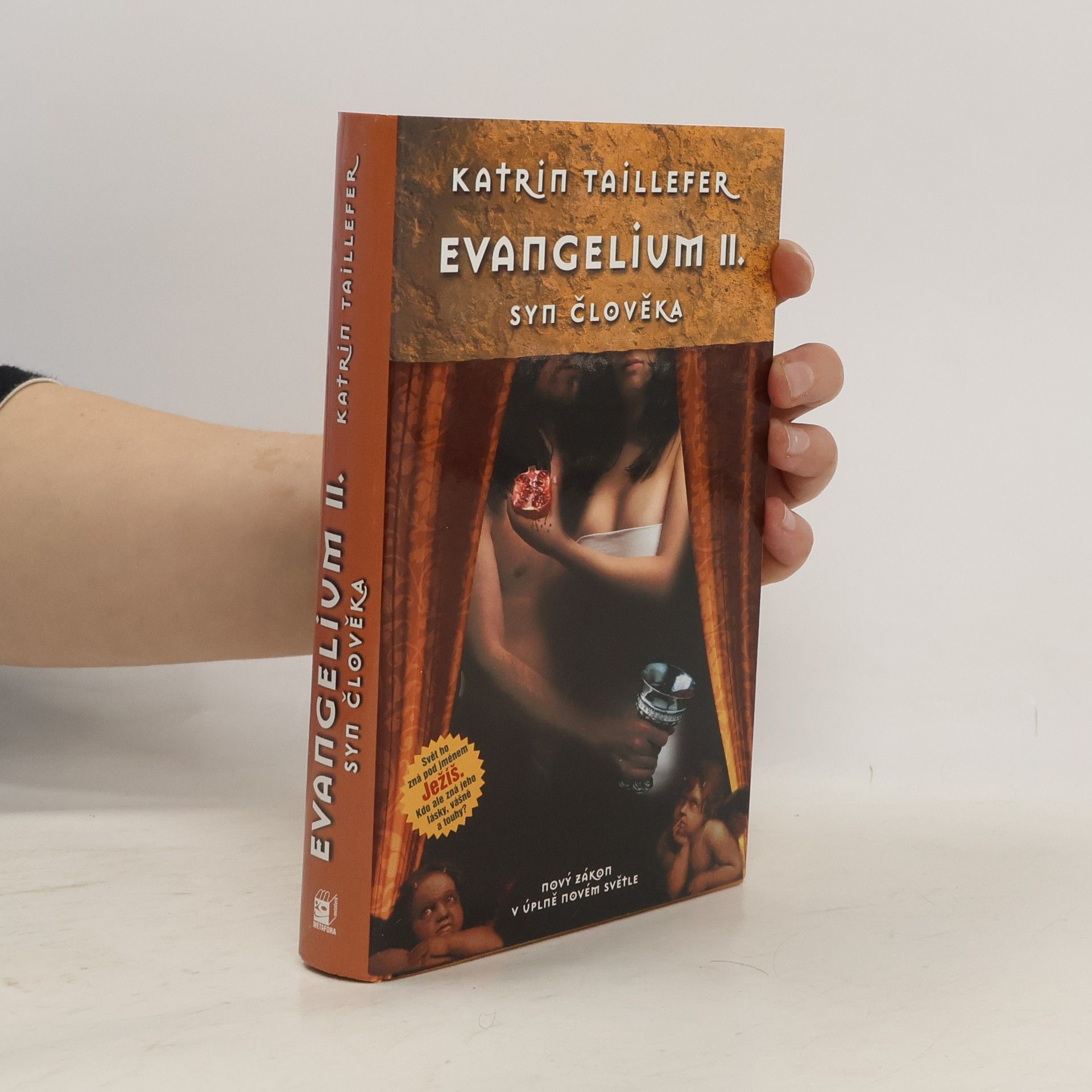 Katrin Taillefer Evangelium II. - Syn člověka