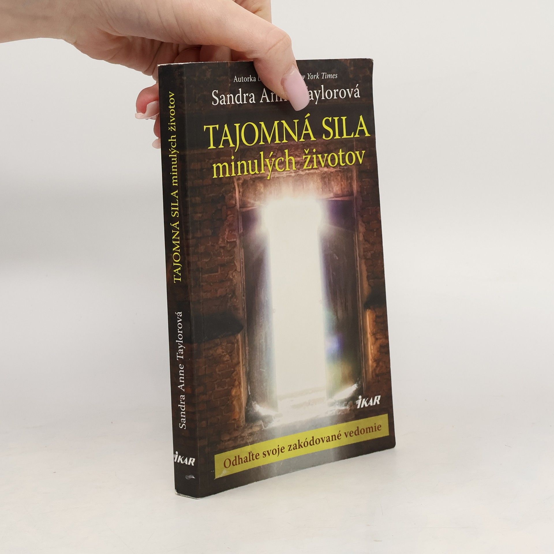 Sandra Anne Taylor Tajomná sila minulých životov