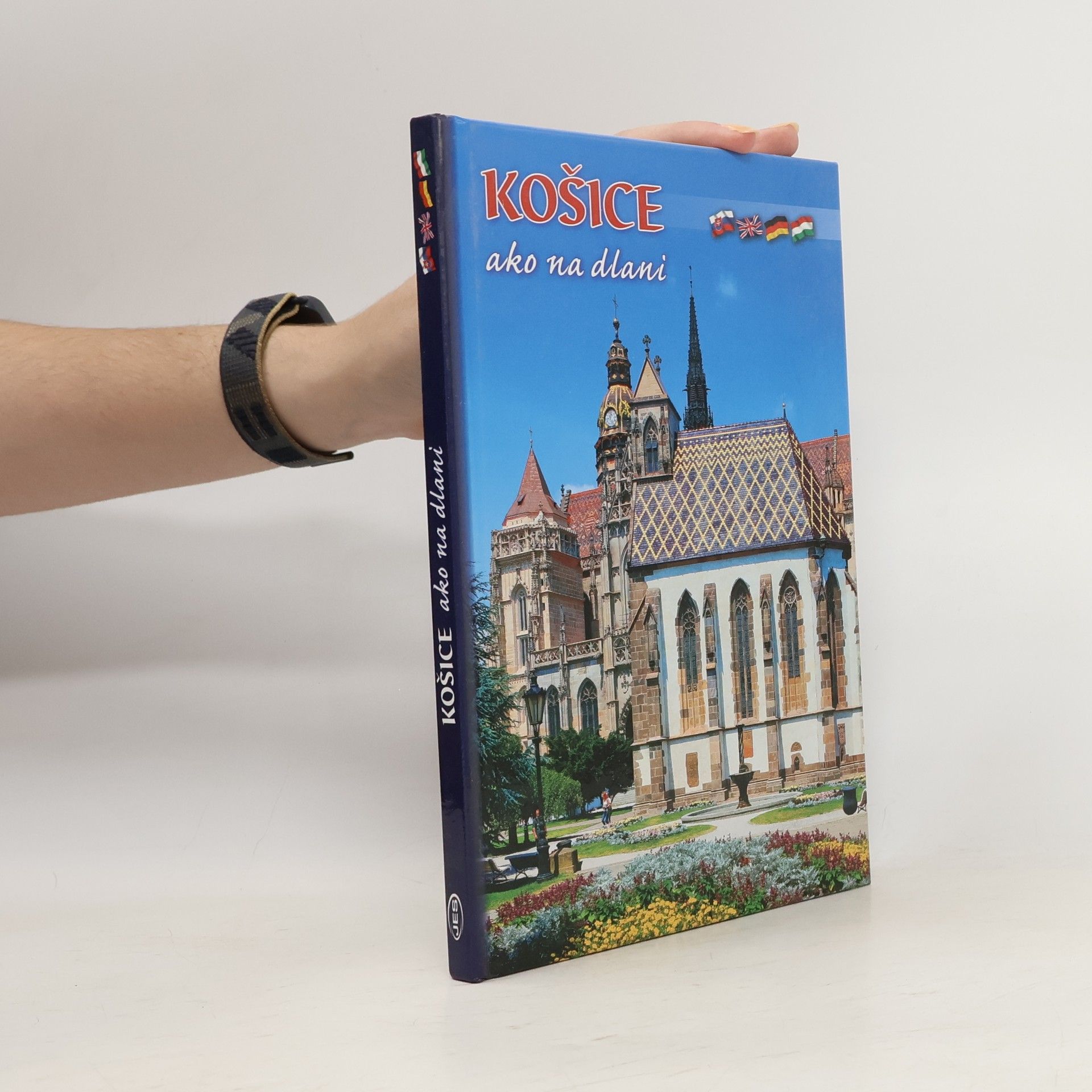 Darina Šimová Košice ako na dlani