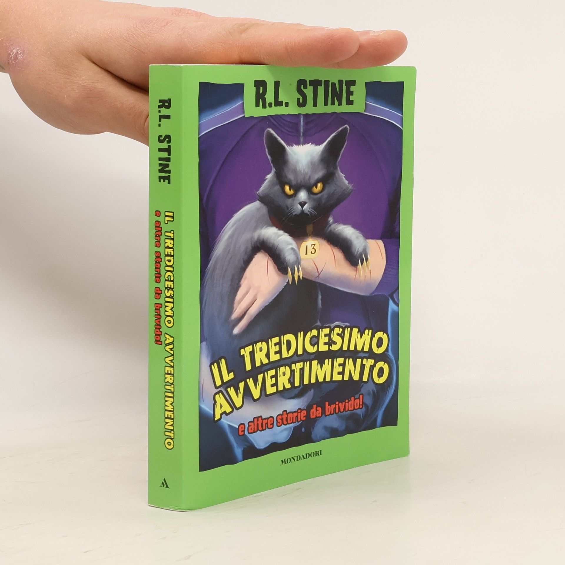 R. L. Stine Il tredicesimo avvertimento e altre storie da brivido