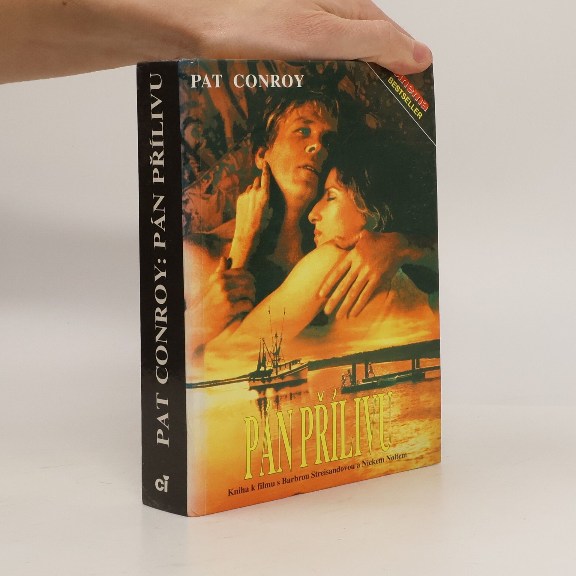 Pat Conroy Pán přílivu