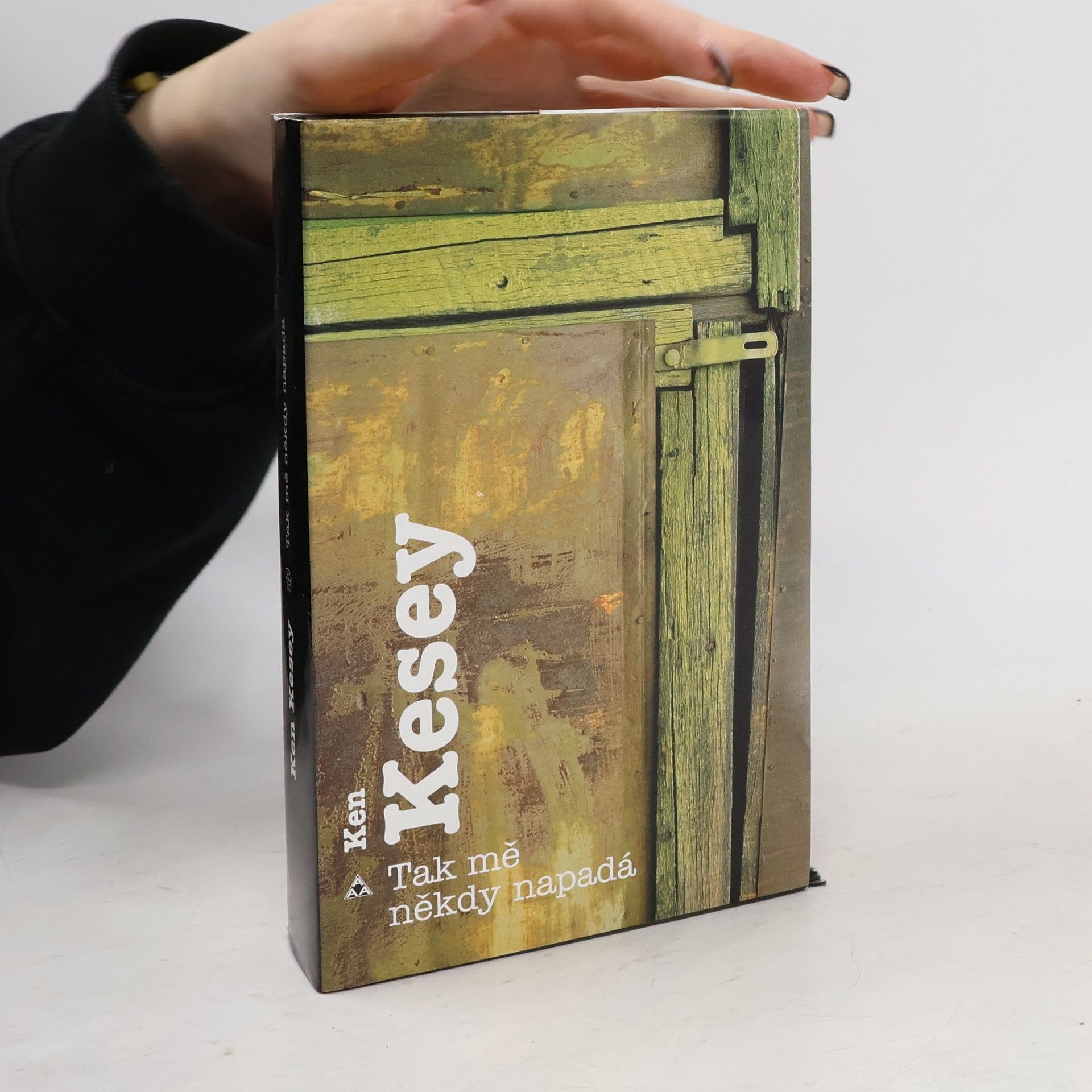 Ken Kesey Tak mě někdy napadá