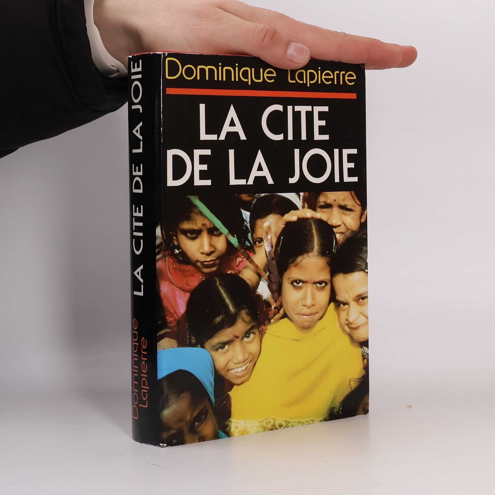 Dominique Lapierre La cité De La Joie