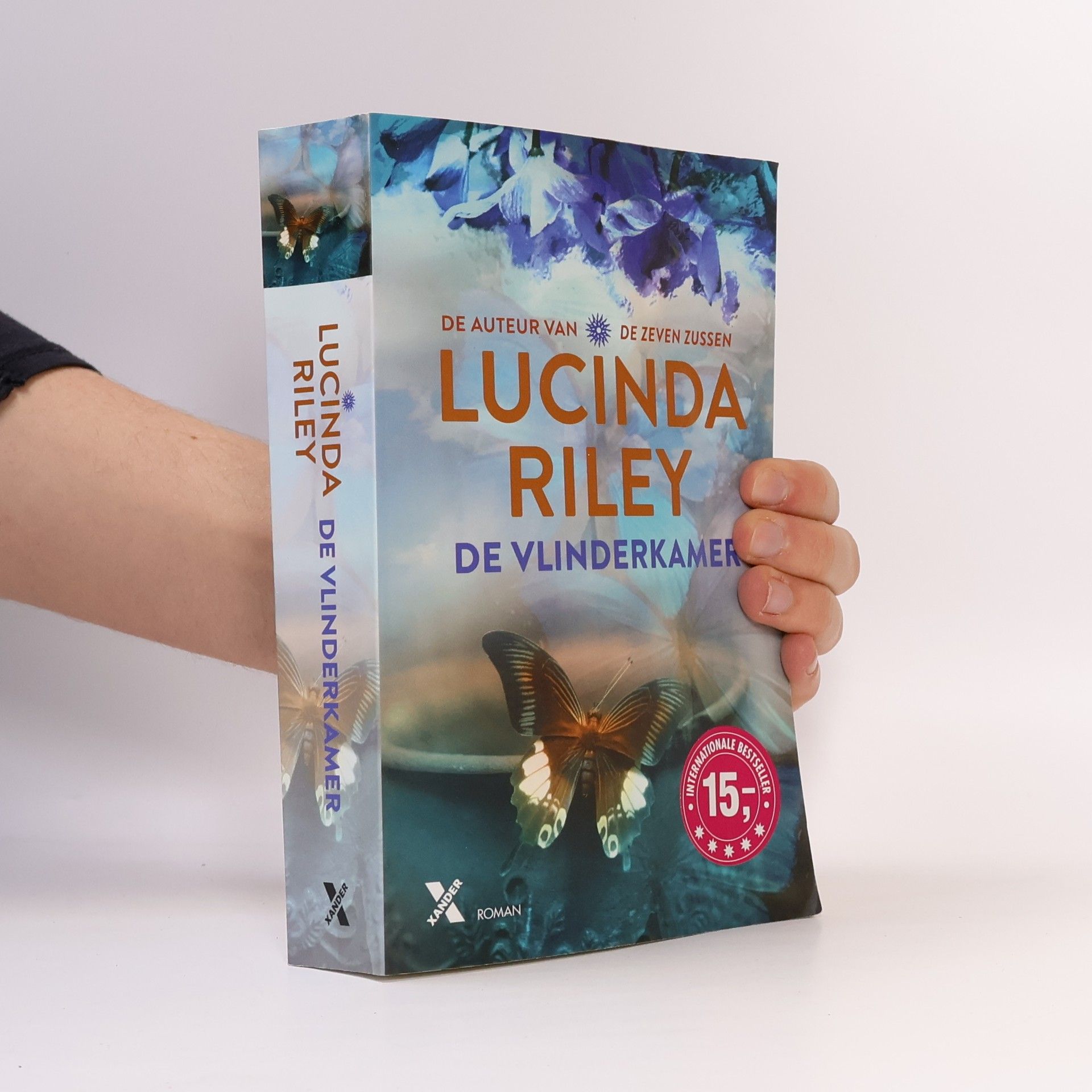 Lucinda Riley De vlinderkamer