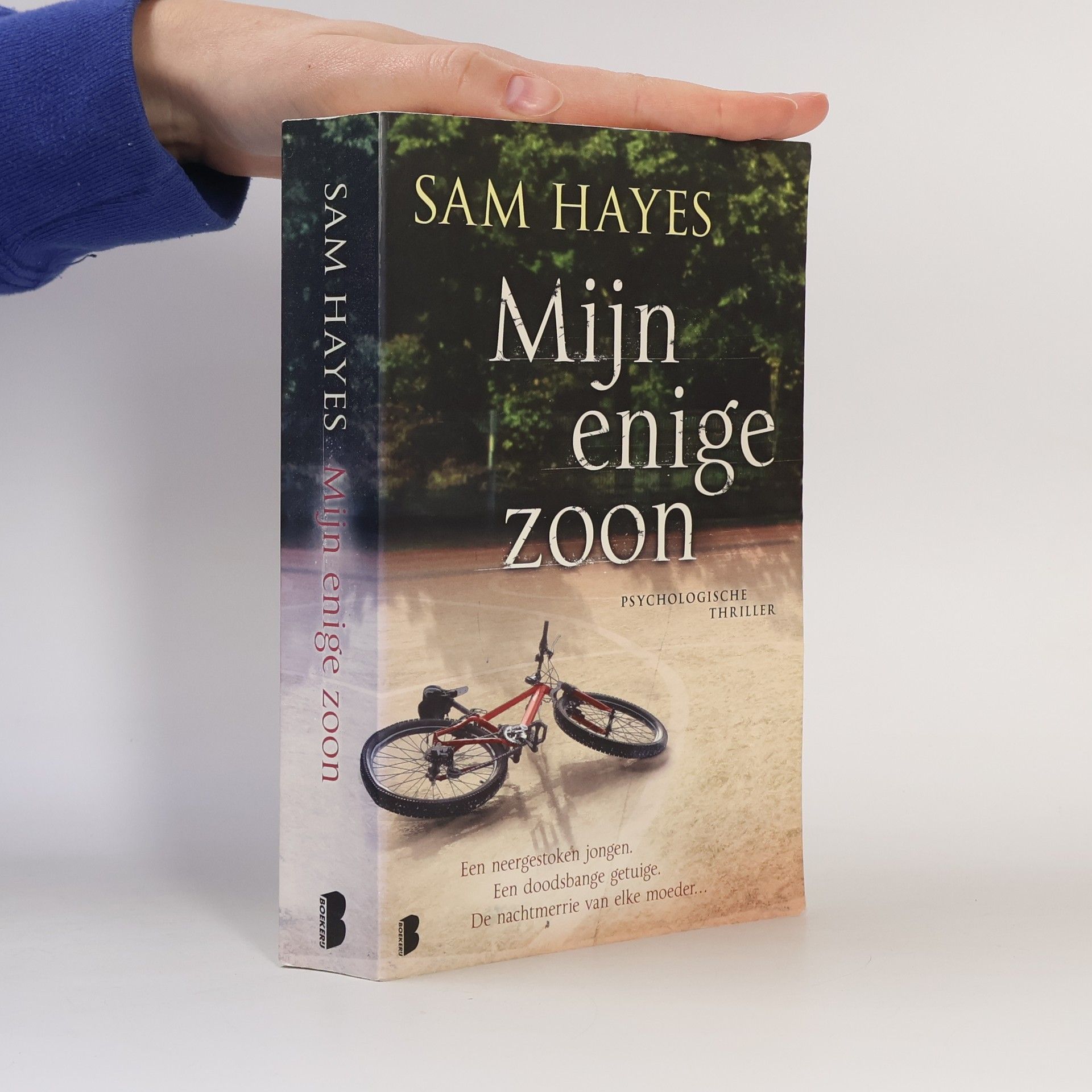 Piet Verhagen Mijn enige zoon