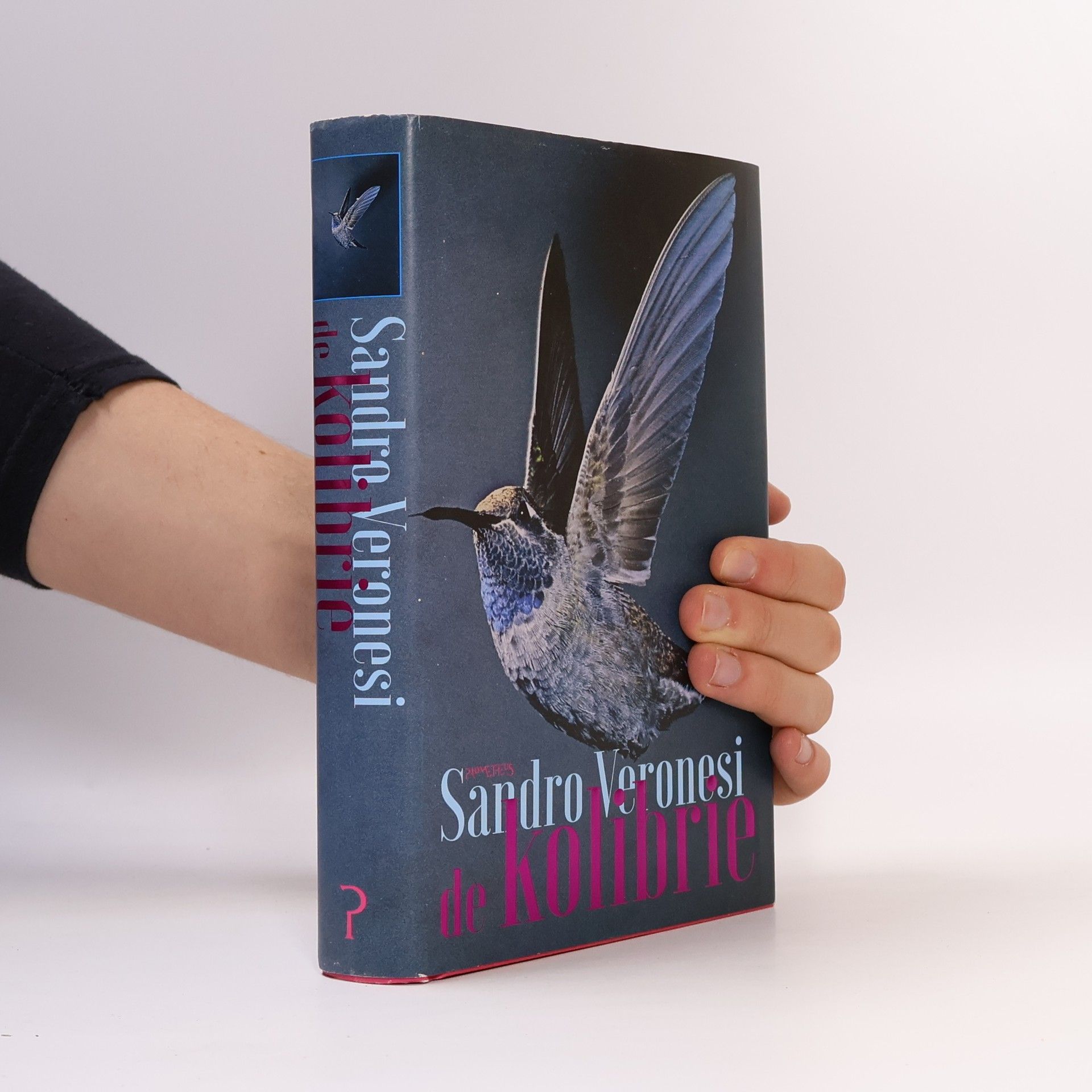 Welmoet Hillen De kolibrie