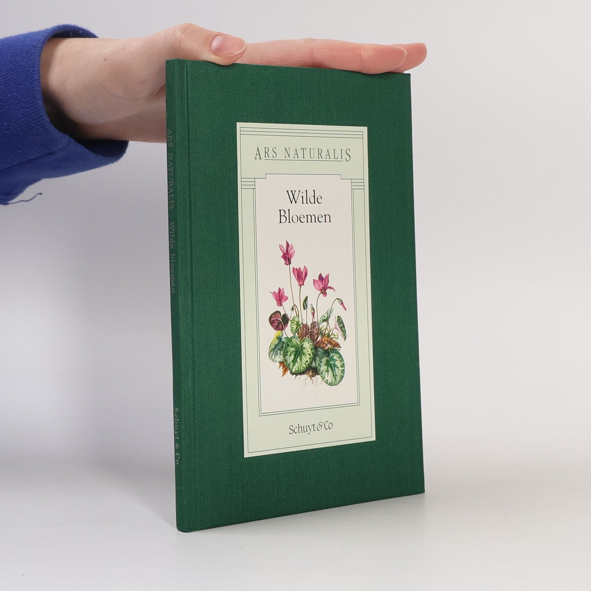 Friedrich Ostenrath Ars Naturalis: Wilde Bloemen