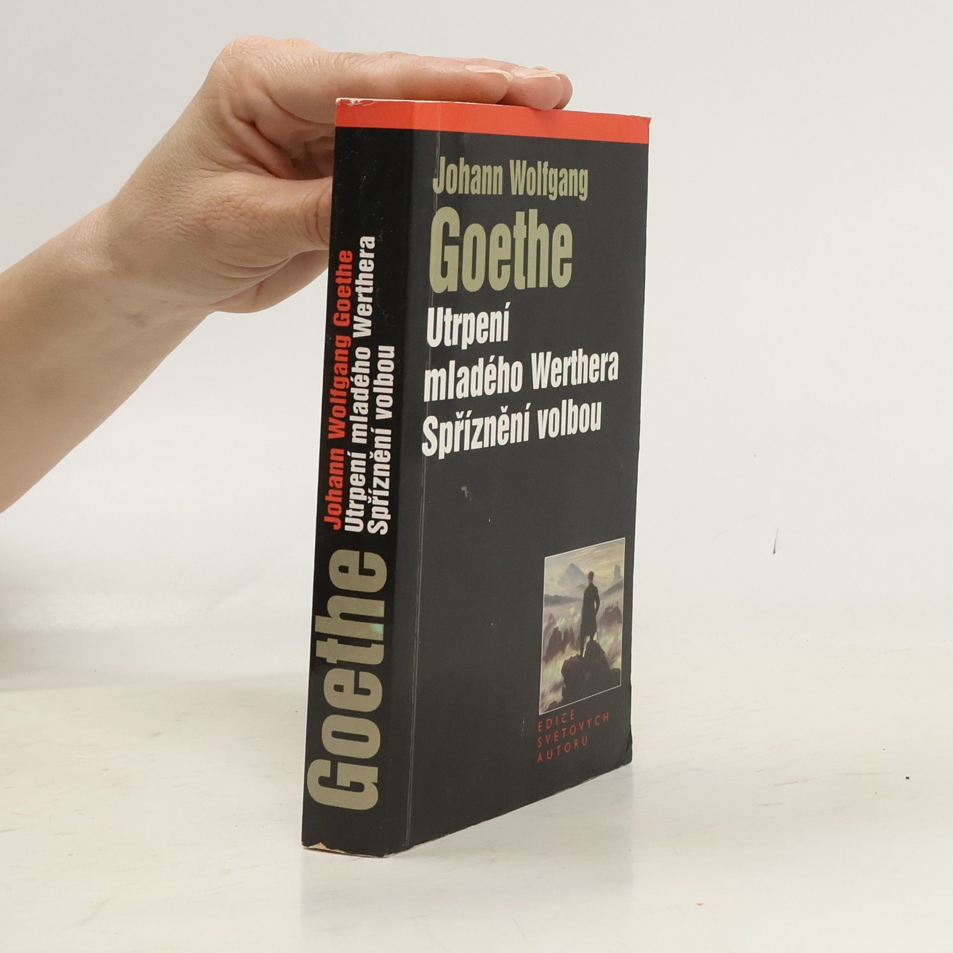 Utrpení mladého Werthera. Spříznění volbou