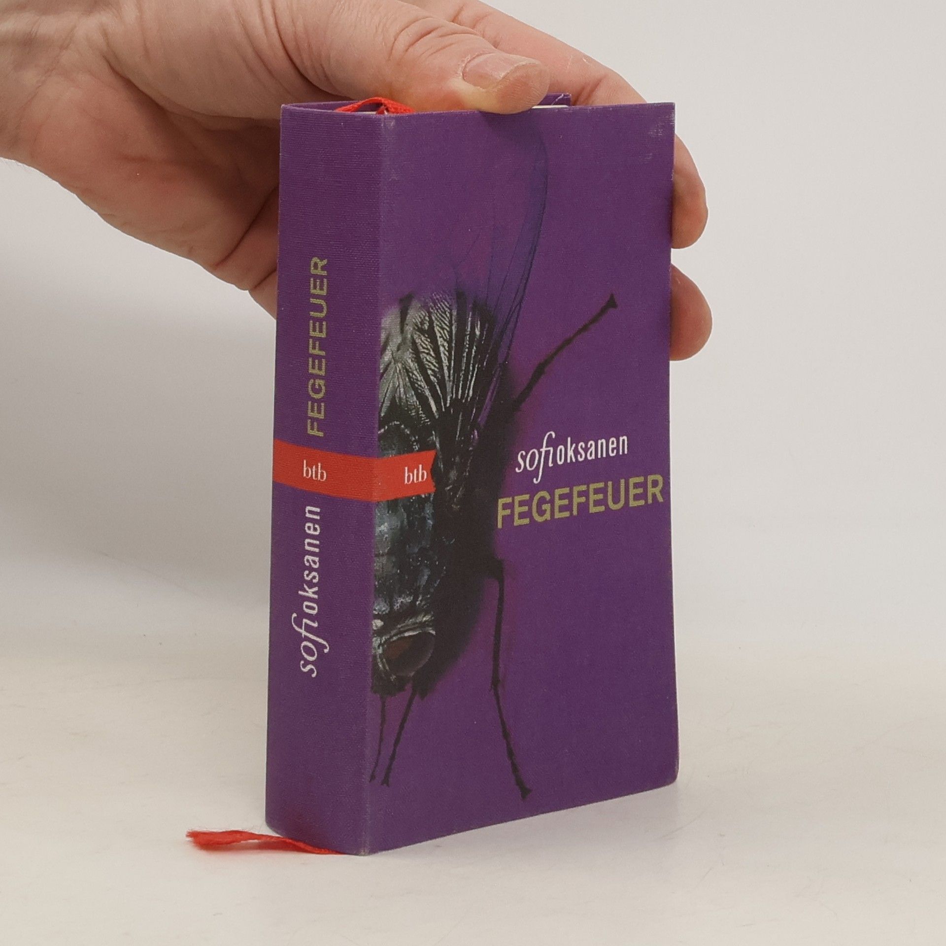 Sofi Oksanen Fegefeuer