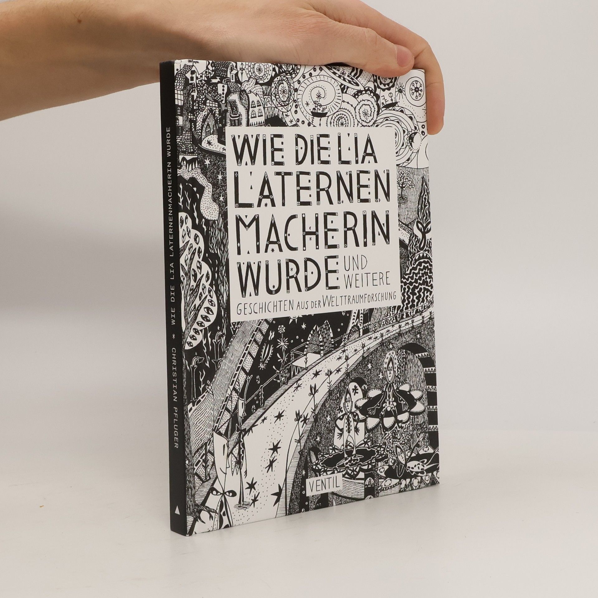 Christian Pfluger Wie die Lia Laternenmacherin wurde