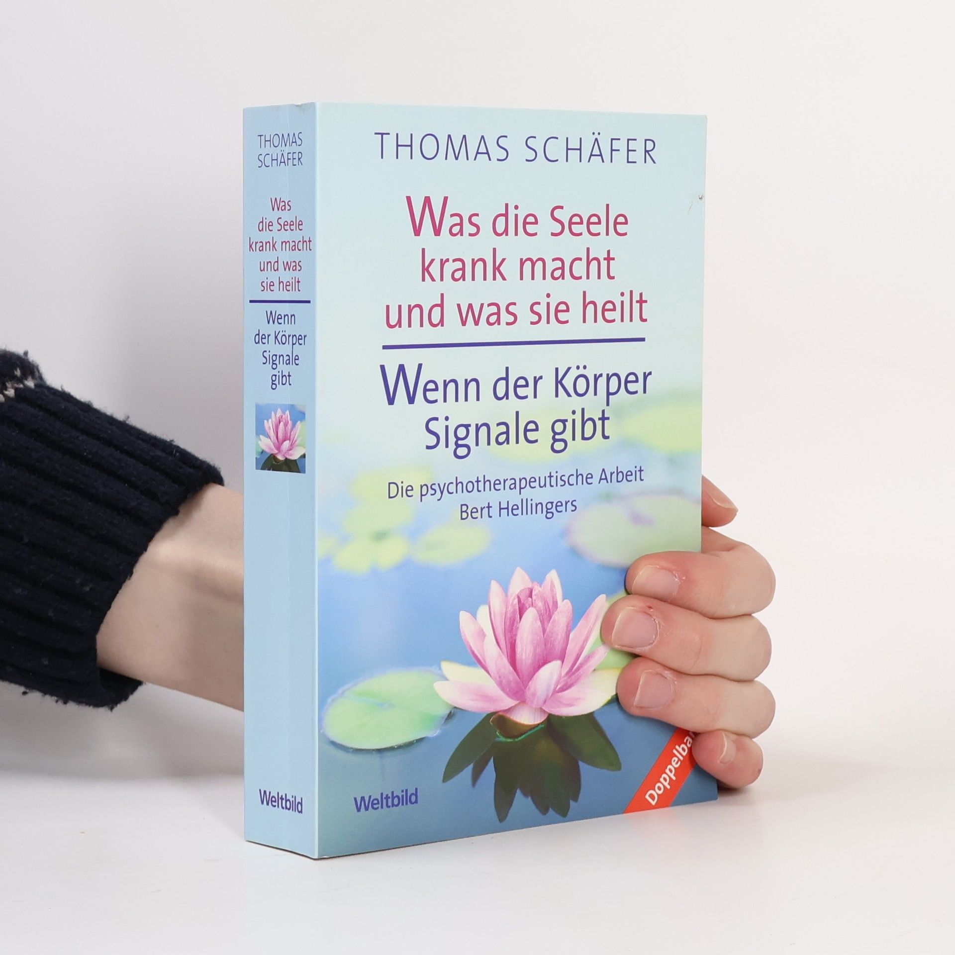 Thomas Schäfer Was die Seele krank macht und was sie heilt