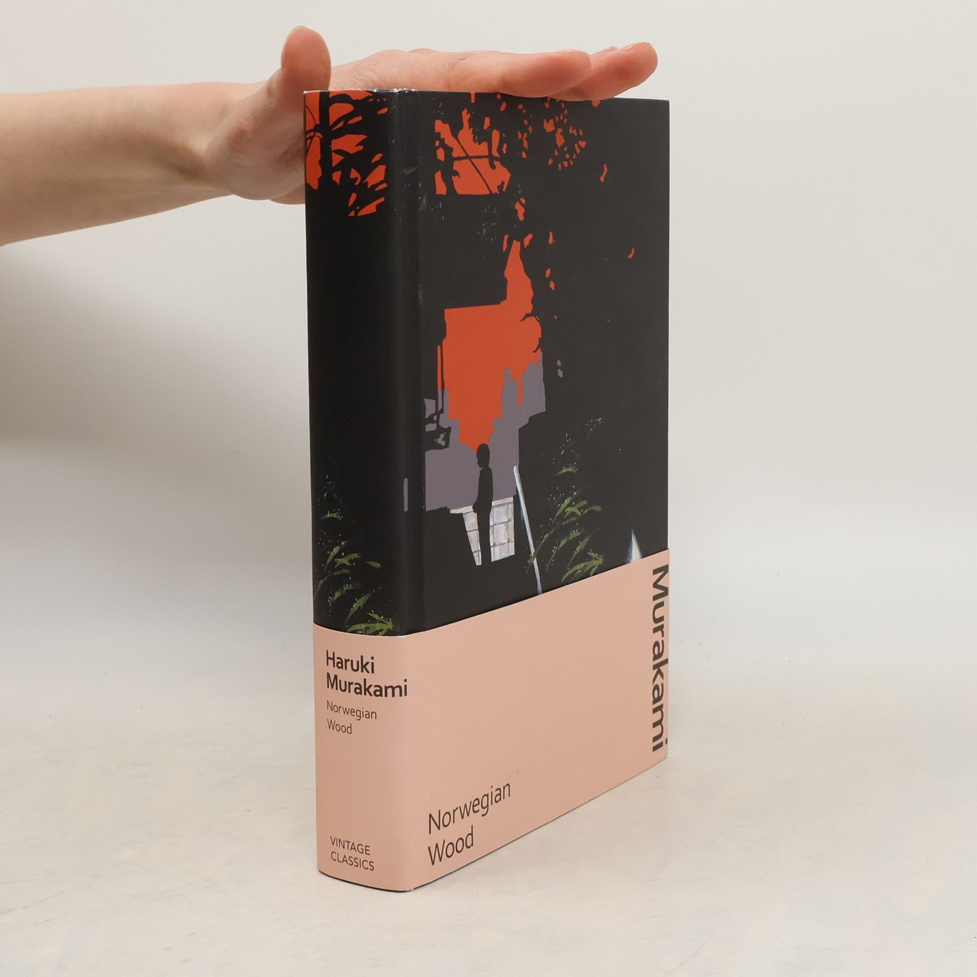 Haruki Murakami Norwegian Wood