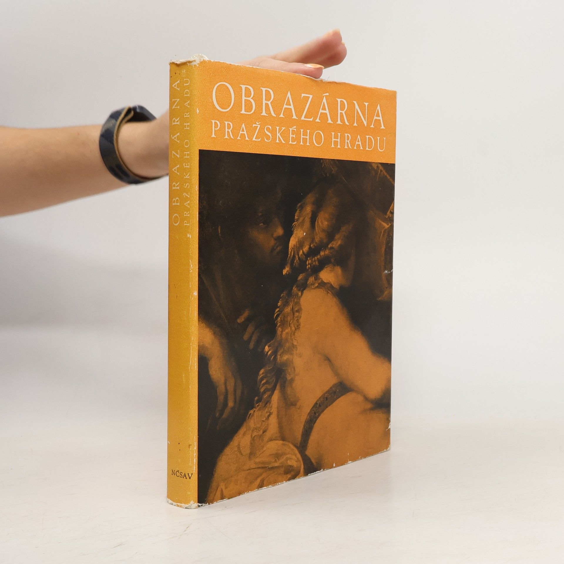 Jaromír Neumann Obrazárna Pražského hradu