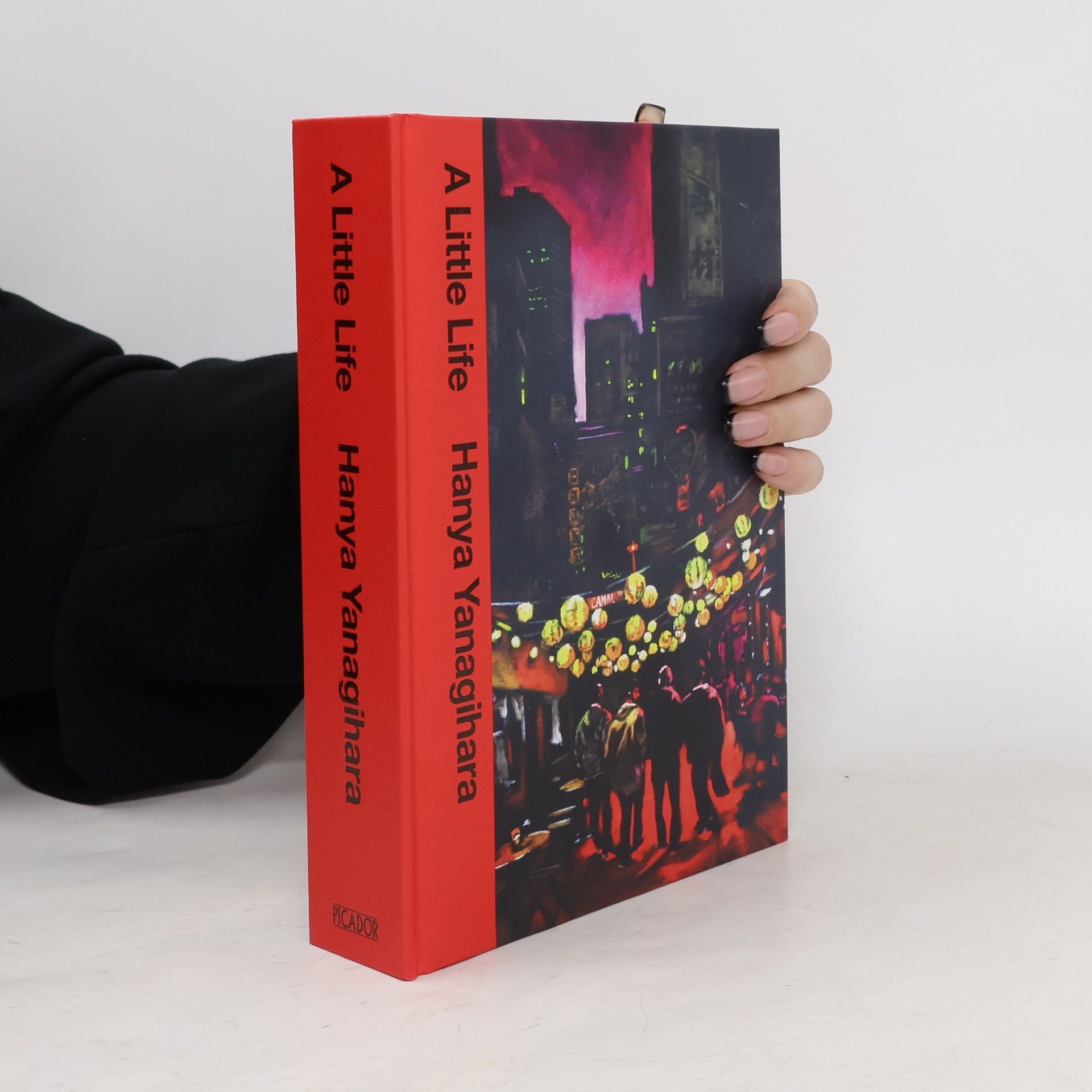 Hanya Yanagihara Picador Collection: A Little Life