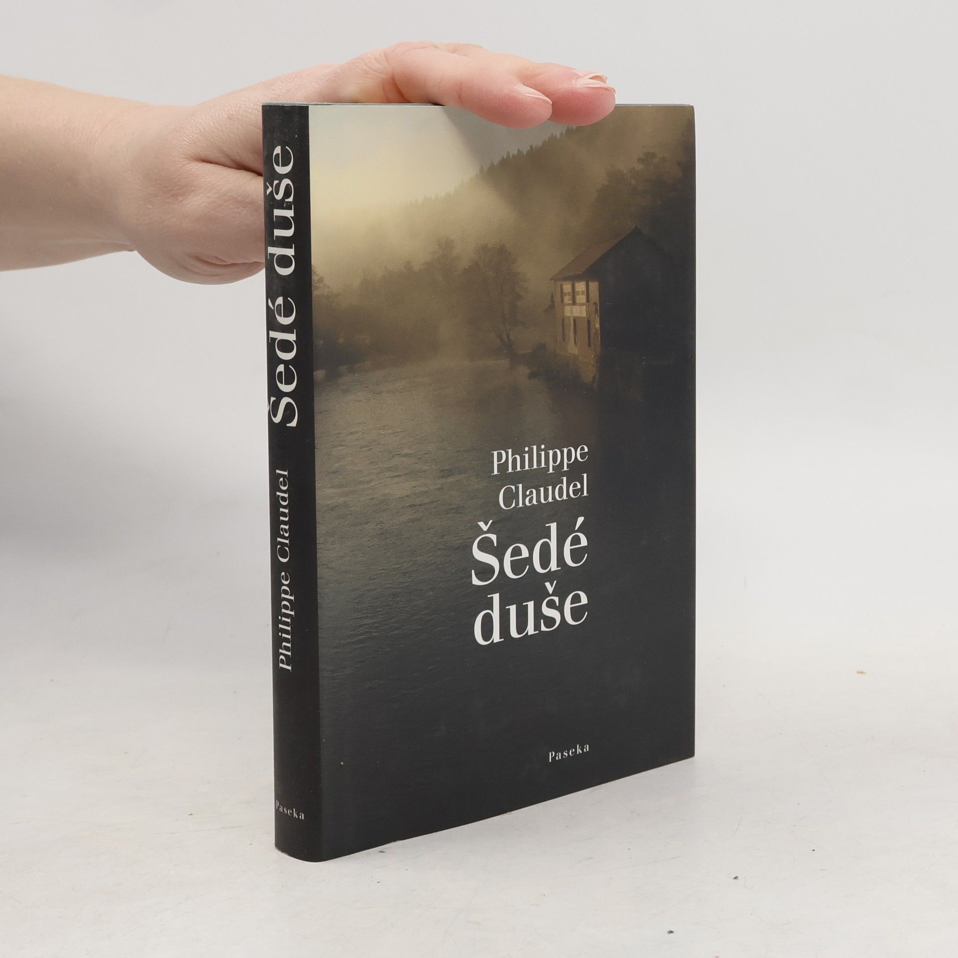 Philippe Claudel Šedé duše