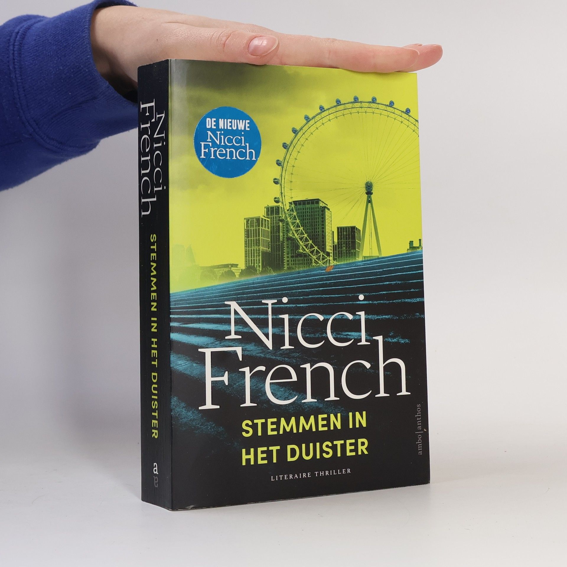 Lidwien Biekmann Stemmen in het duister