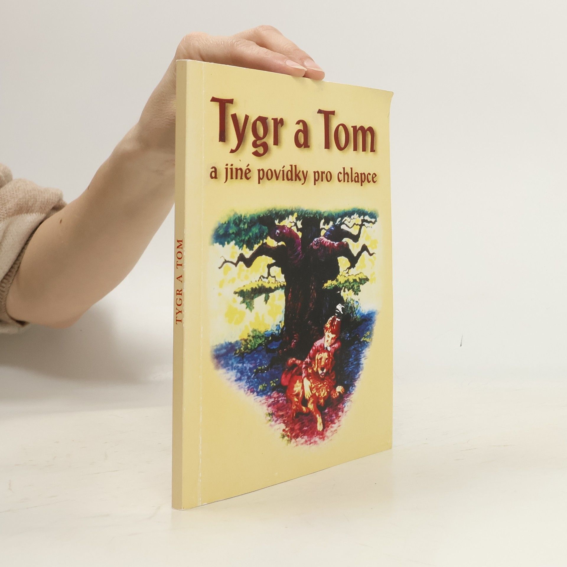 Auteurscollectief Královská dcera a jiné povídky pro dívky