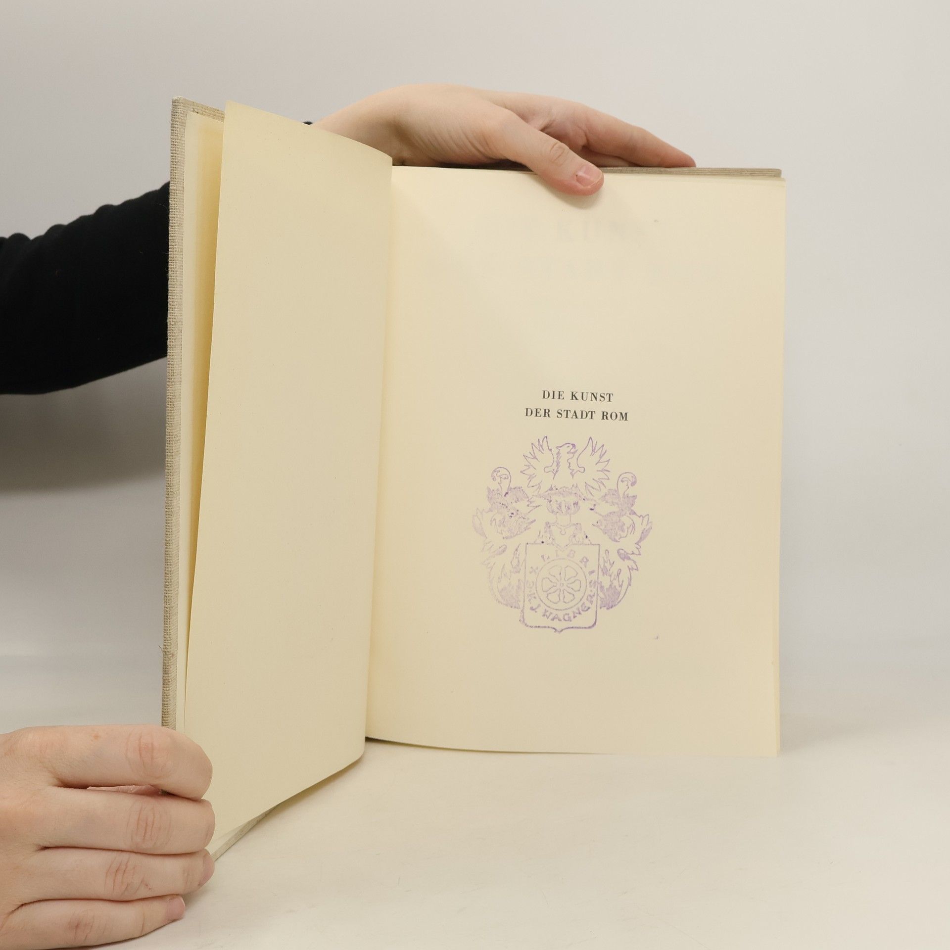 Leo Bruhns Die Kunst der Stadt Rom