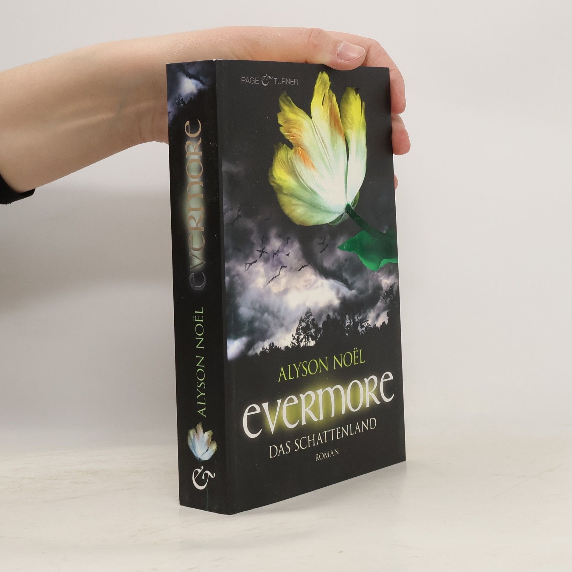 Alyson Noël Evermore: Das Schattenland